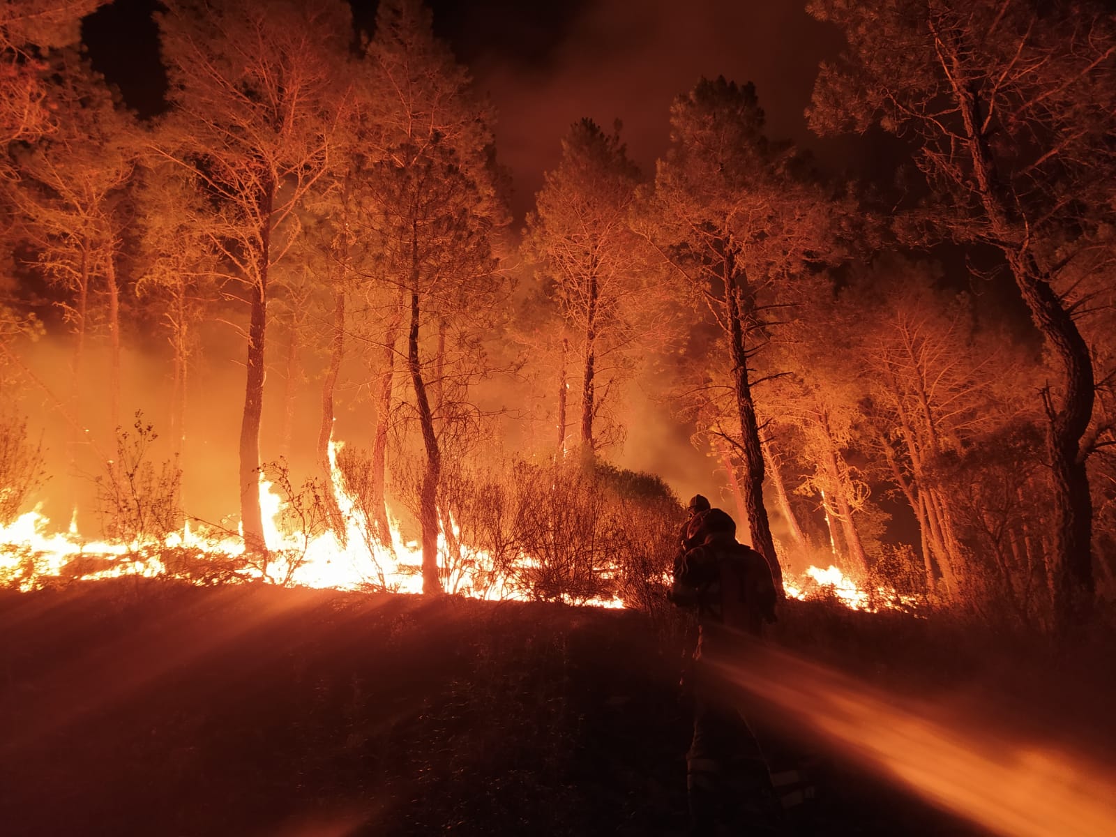 Imagen de archivo de un incendio Forestal que se produjo en Figueruela de Arriba en la madrugada del 16 de julio. Foto: BRIF Tabuyo.