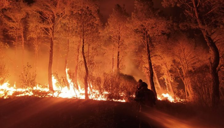 Incendio Forestal en Figueruela de Arriba en la madrugada del 16 de julio. Foto: BRIF Tabuyo