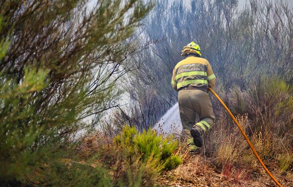 Incendio forestal. Archivo.