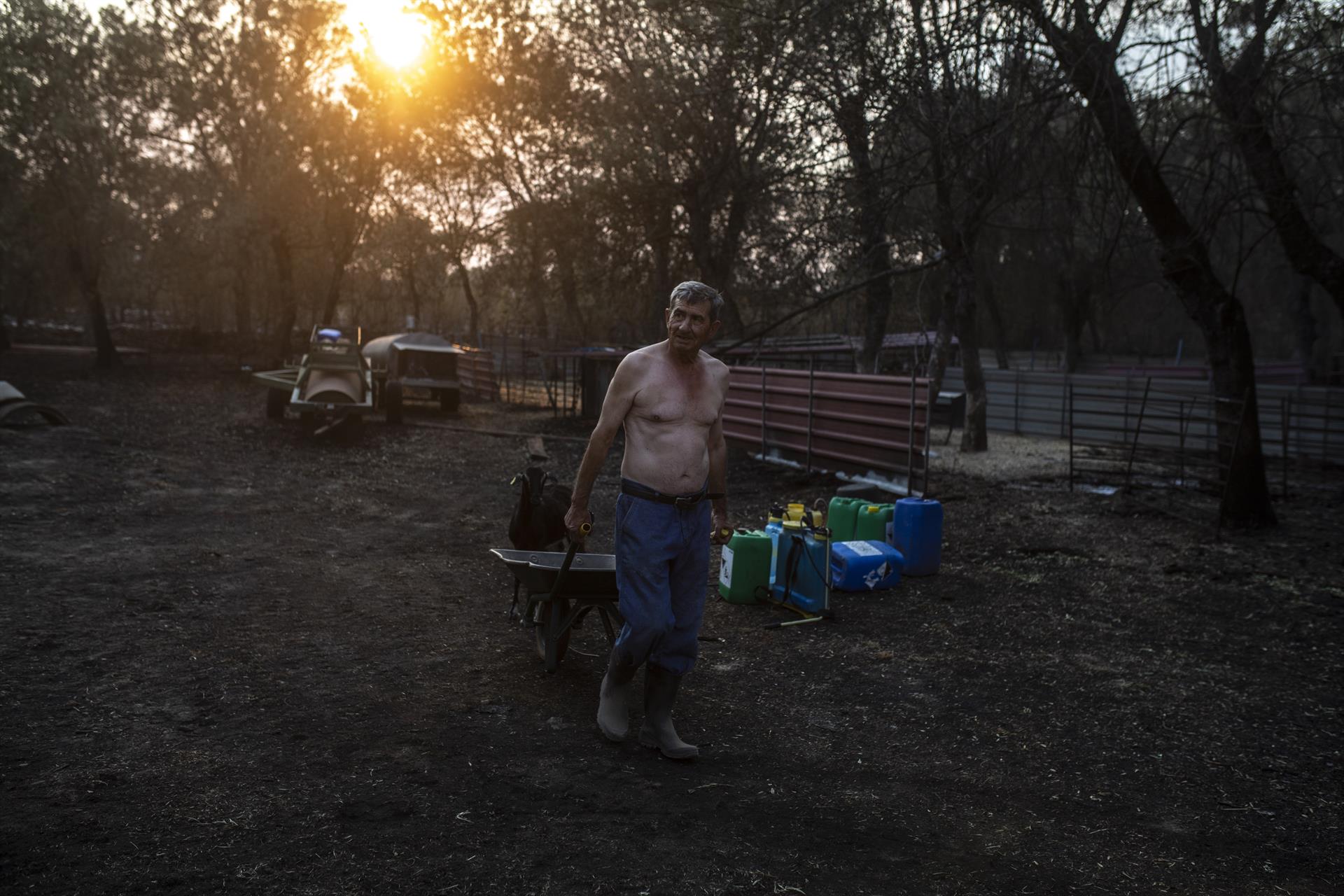 Un hombre transporta una carretilla en una de las zonas afectadas por el incendio de Losacio. Europa Press