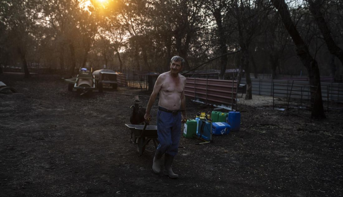 M S De Empresas Afectadas Por Los Incendios Solicitan La Ayuda De