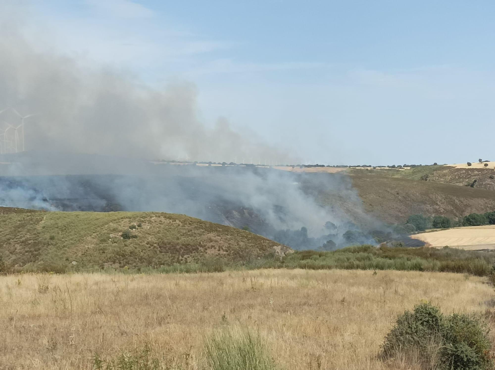 Incendio en Vegalatrave. FOTO: RAFA LORENZO