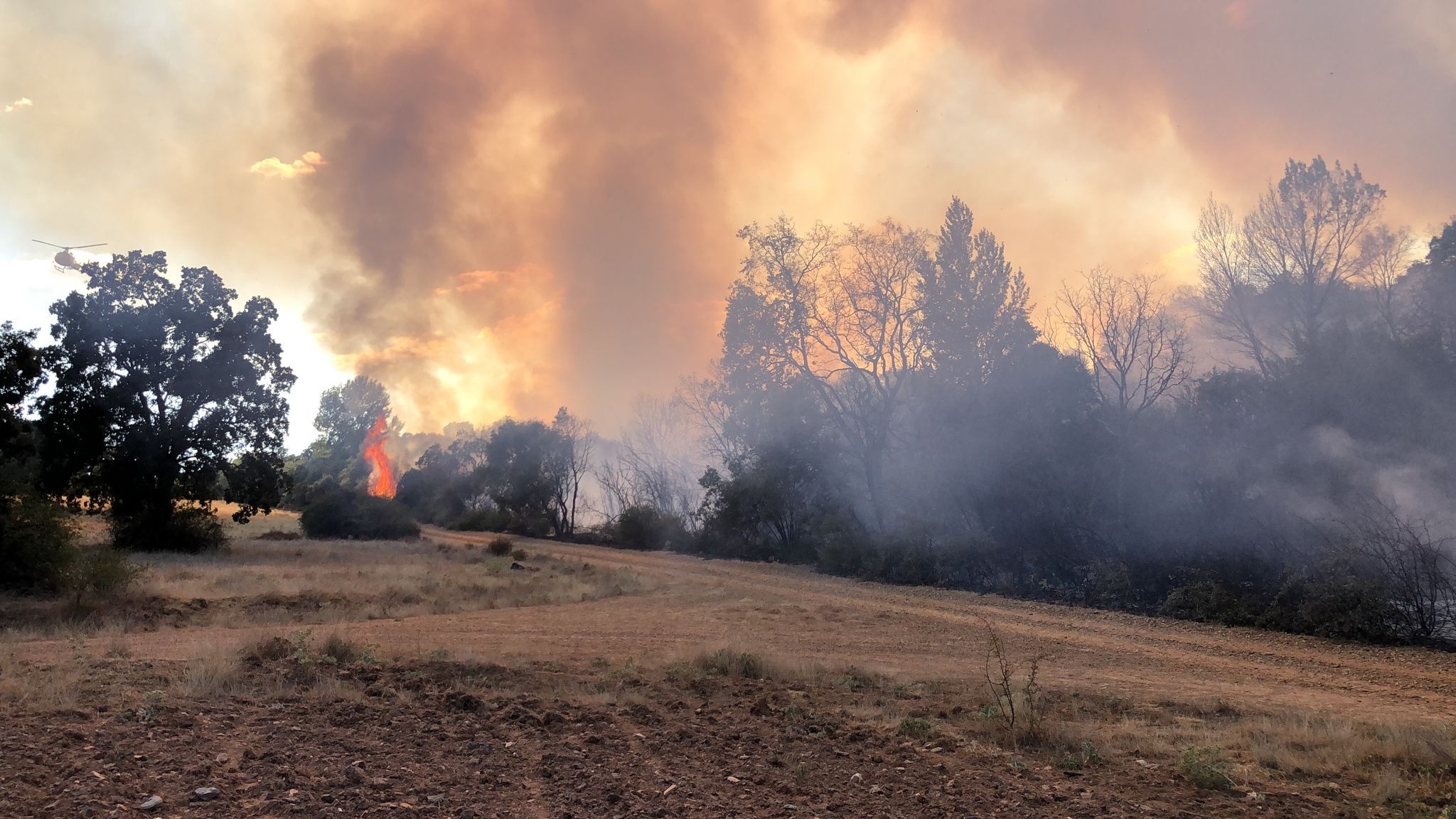 Incendio forestal. ARCHIVO