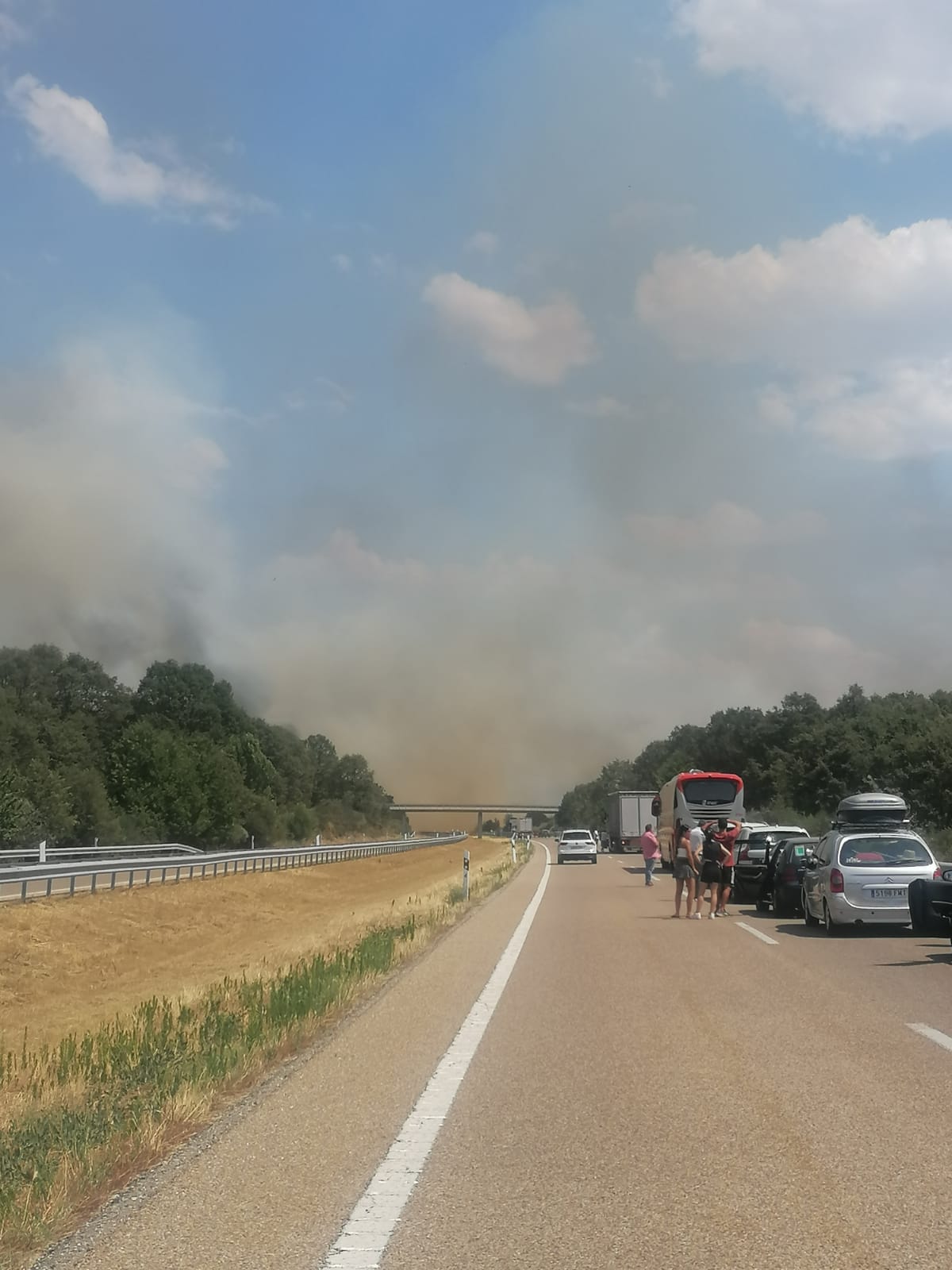 Incendio en Asturianos (1)