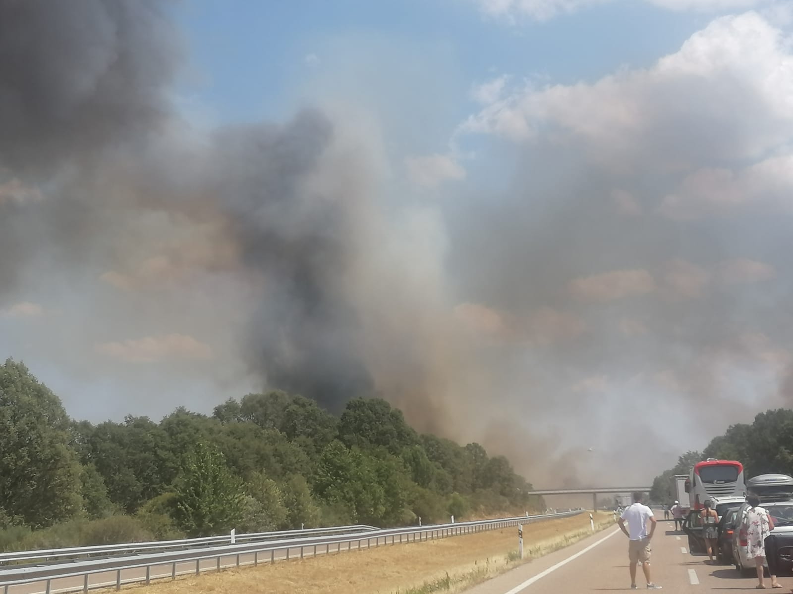 Incendio en Asturianos (2)