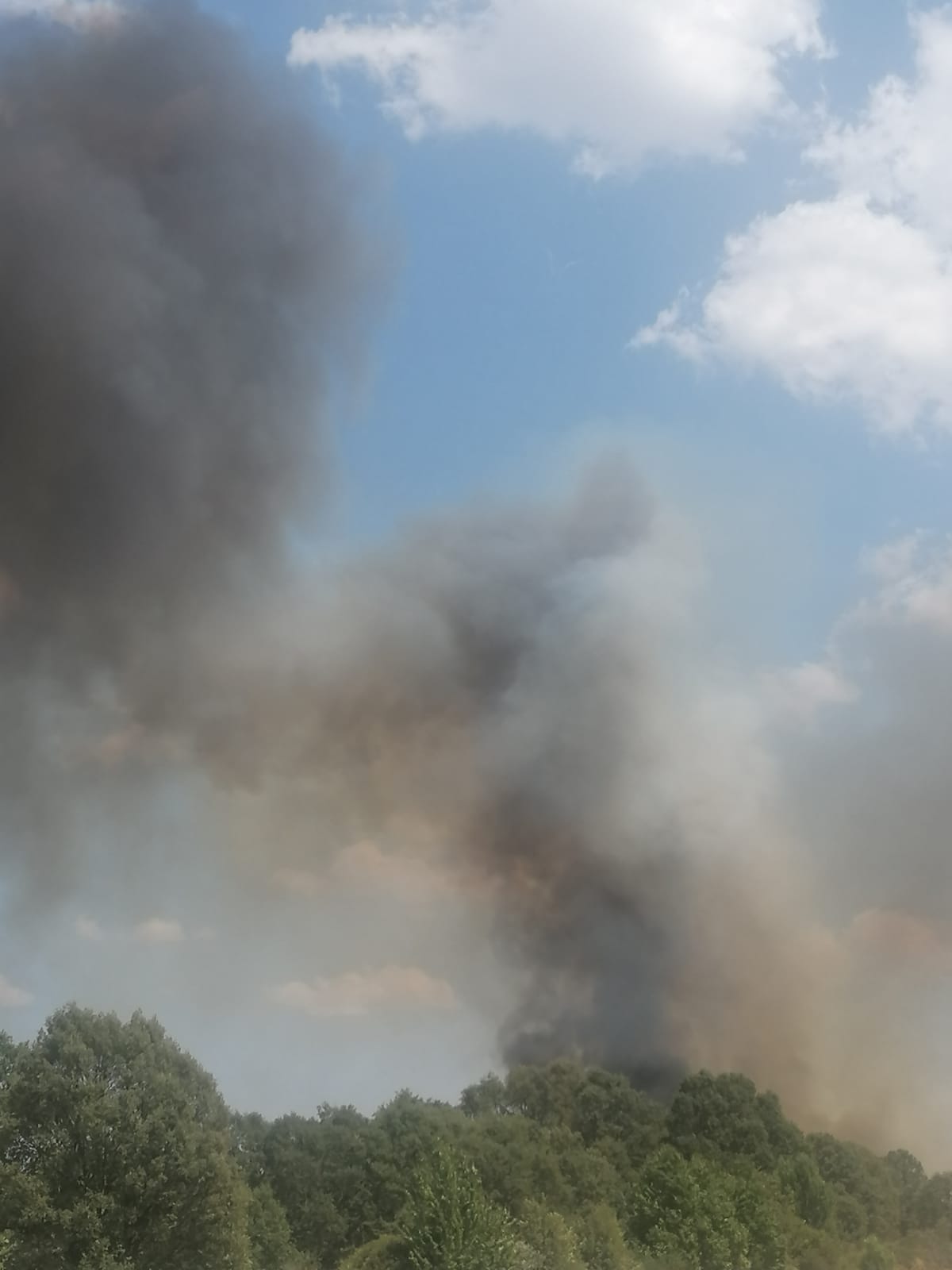 Incendio en Asturianos (3)