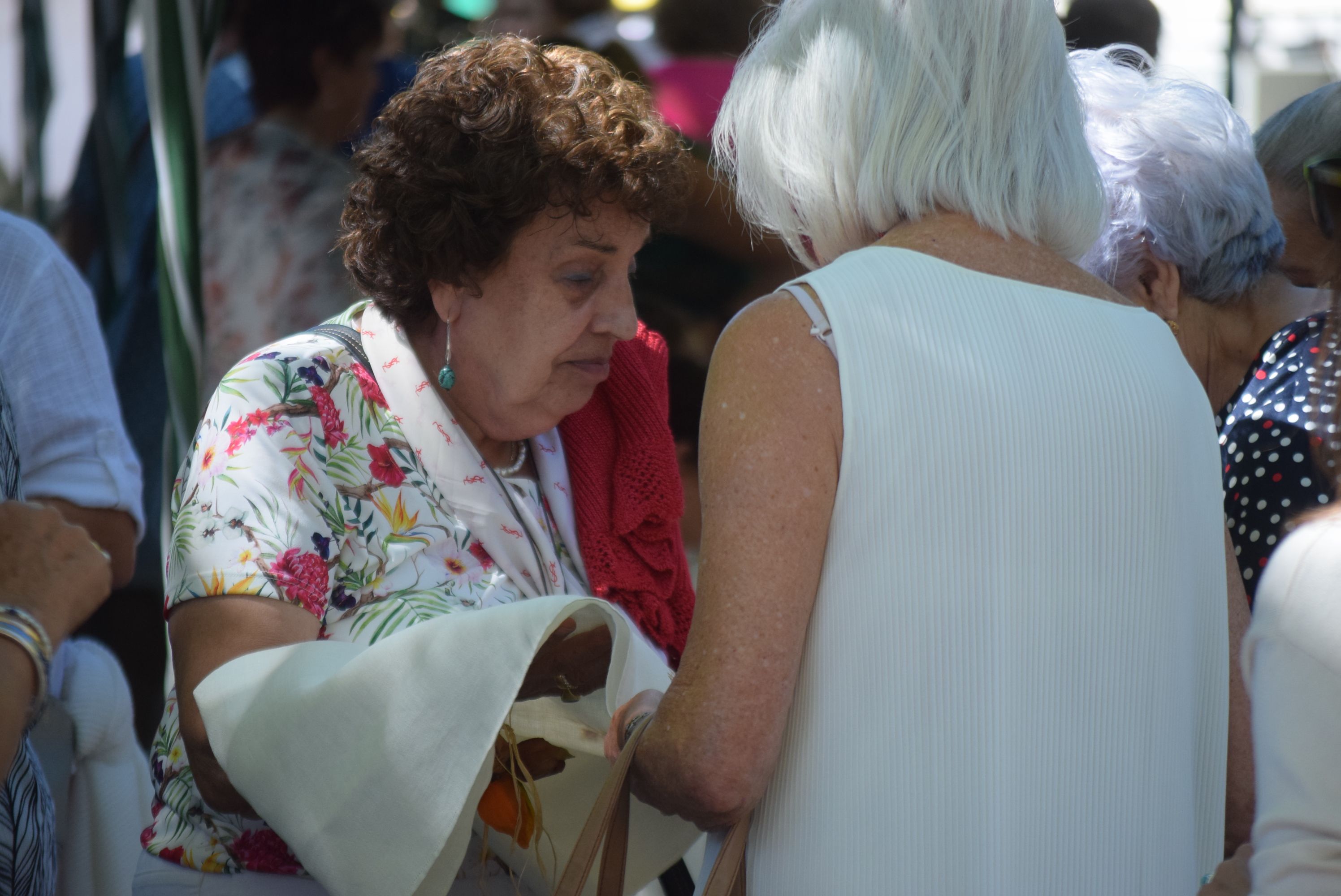 El arte del bolillo vuelve a Zamora (1)