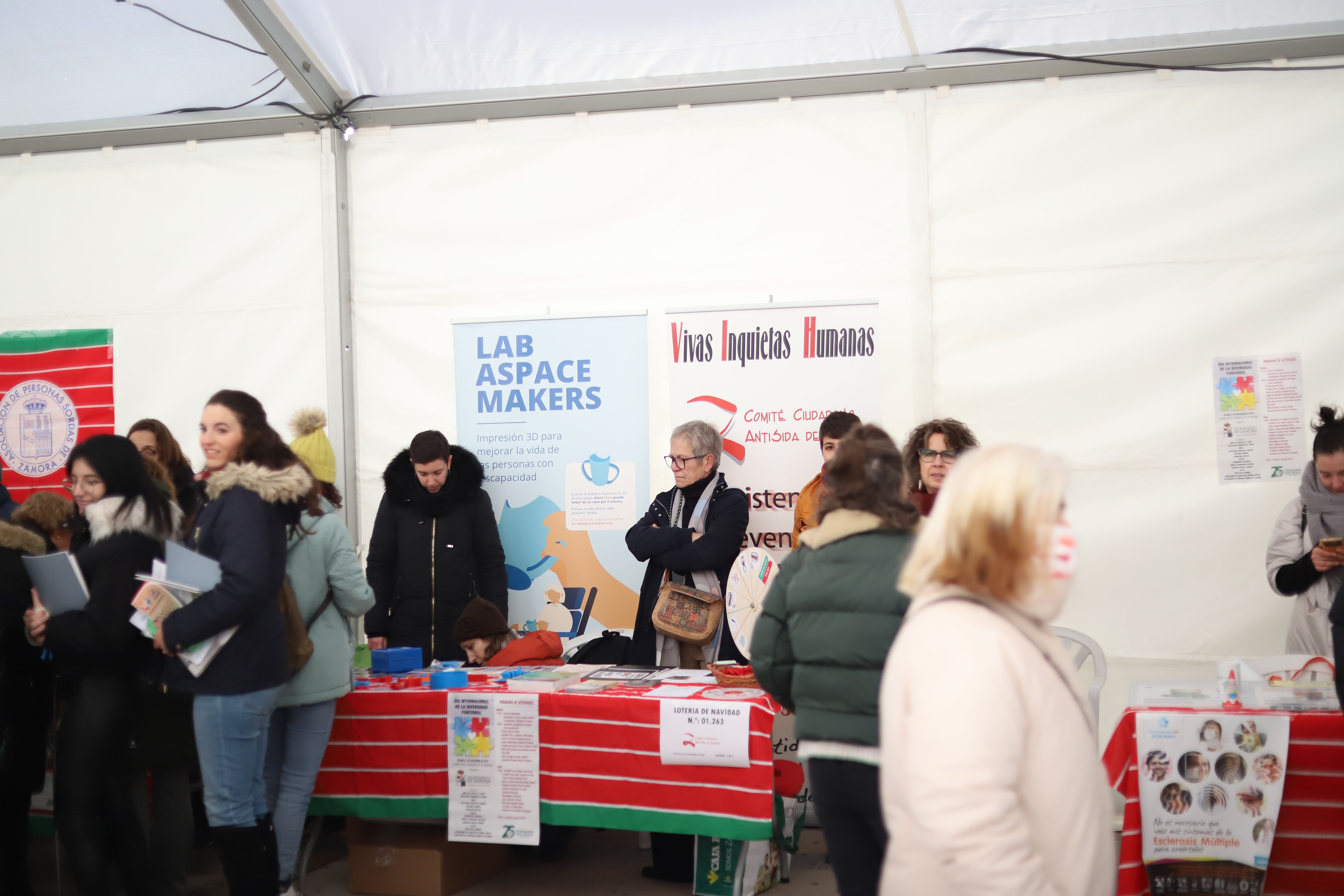  Día de la Diversidad Funcional en Zamora (3)