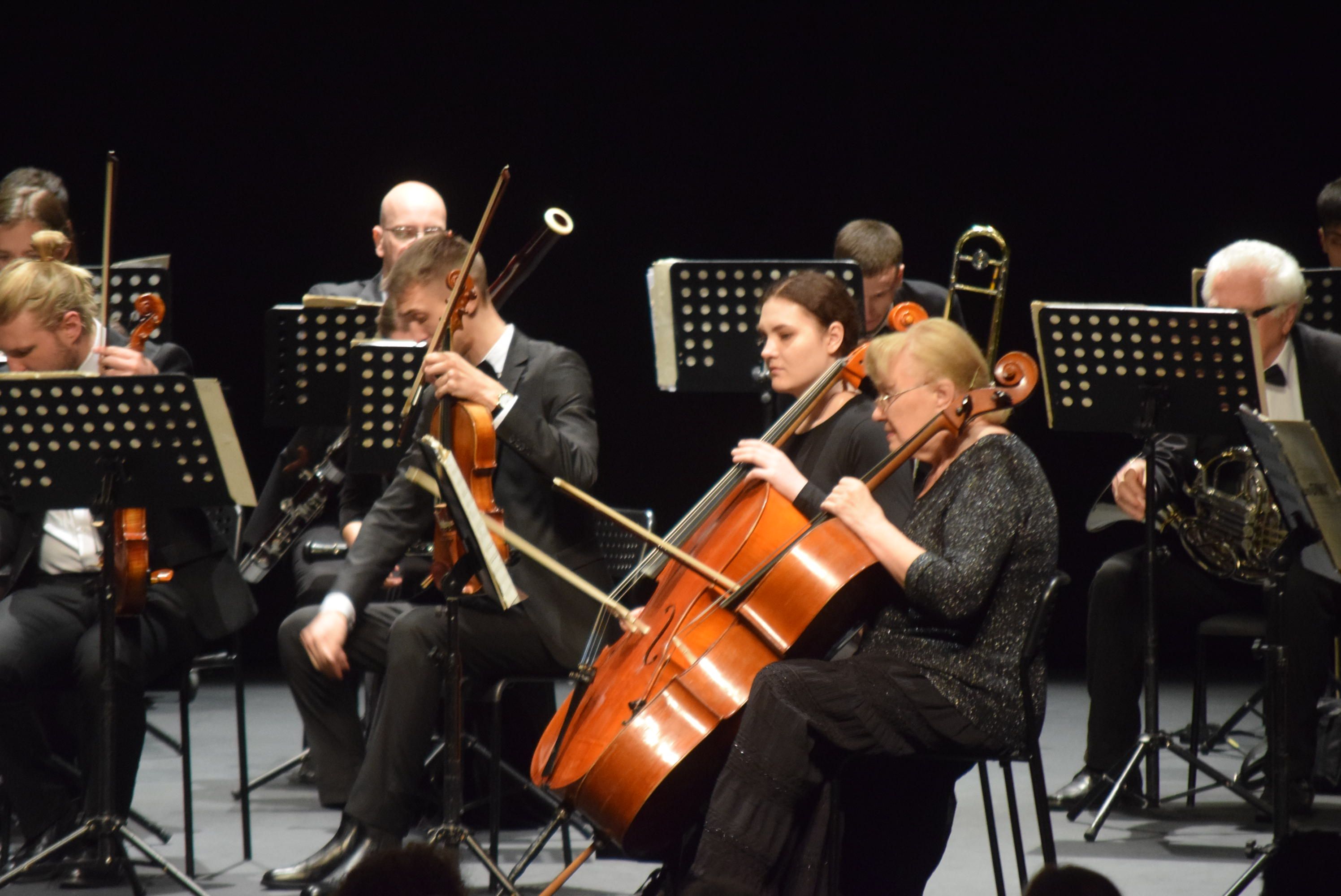 Concierto de Año Nuevo en el Teatro Ramos Carrión (2)