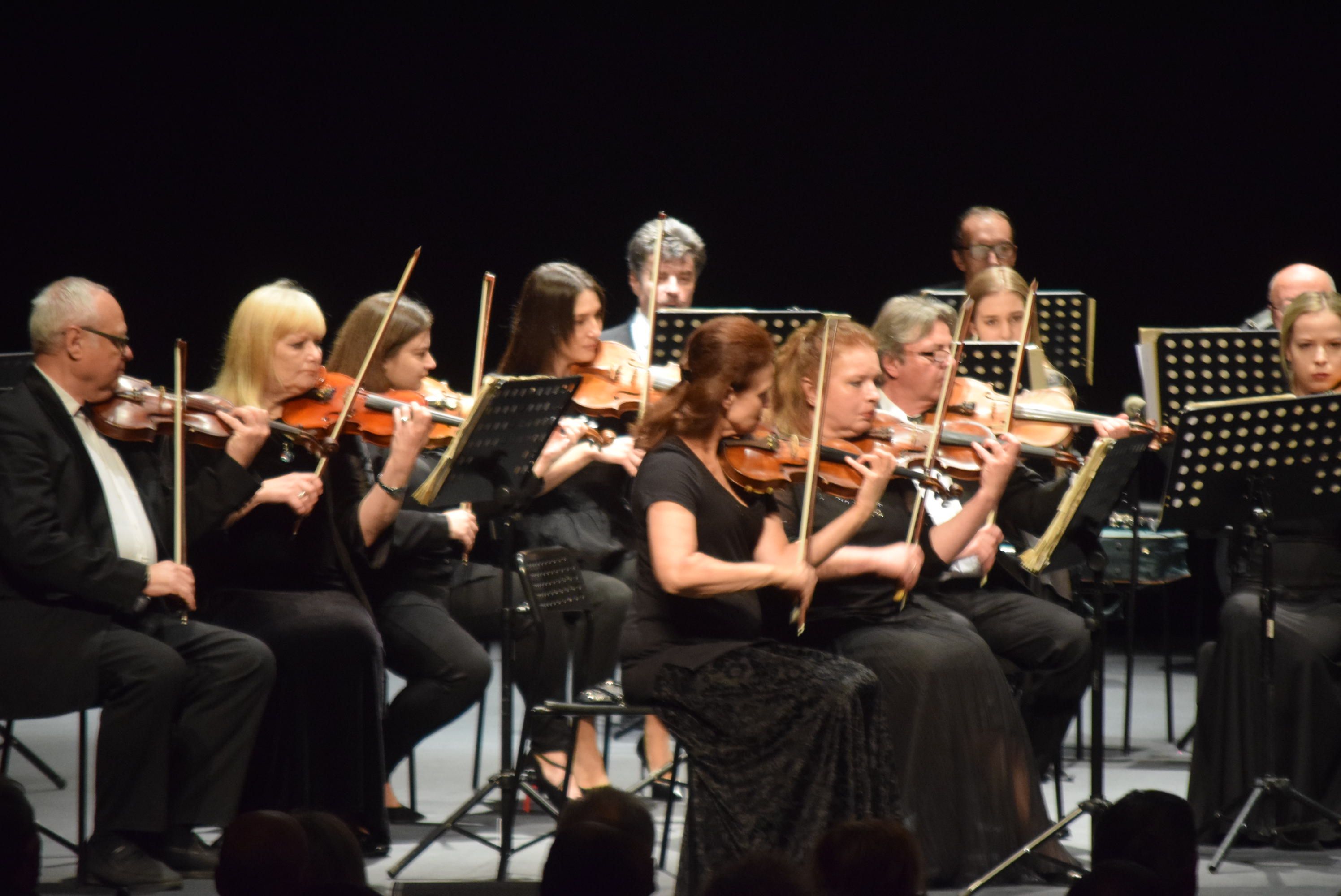 Concierto de Año Nuevo en el Teatro Ramos Carrión (6)