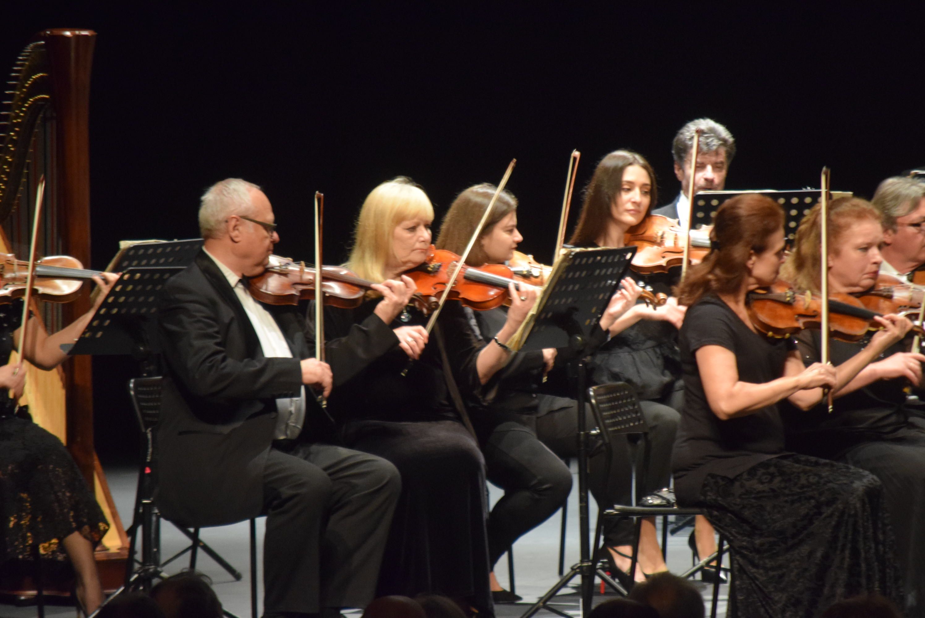 Concierto de Año Nuevo en el Teatro Ramos Carrión (7)