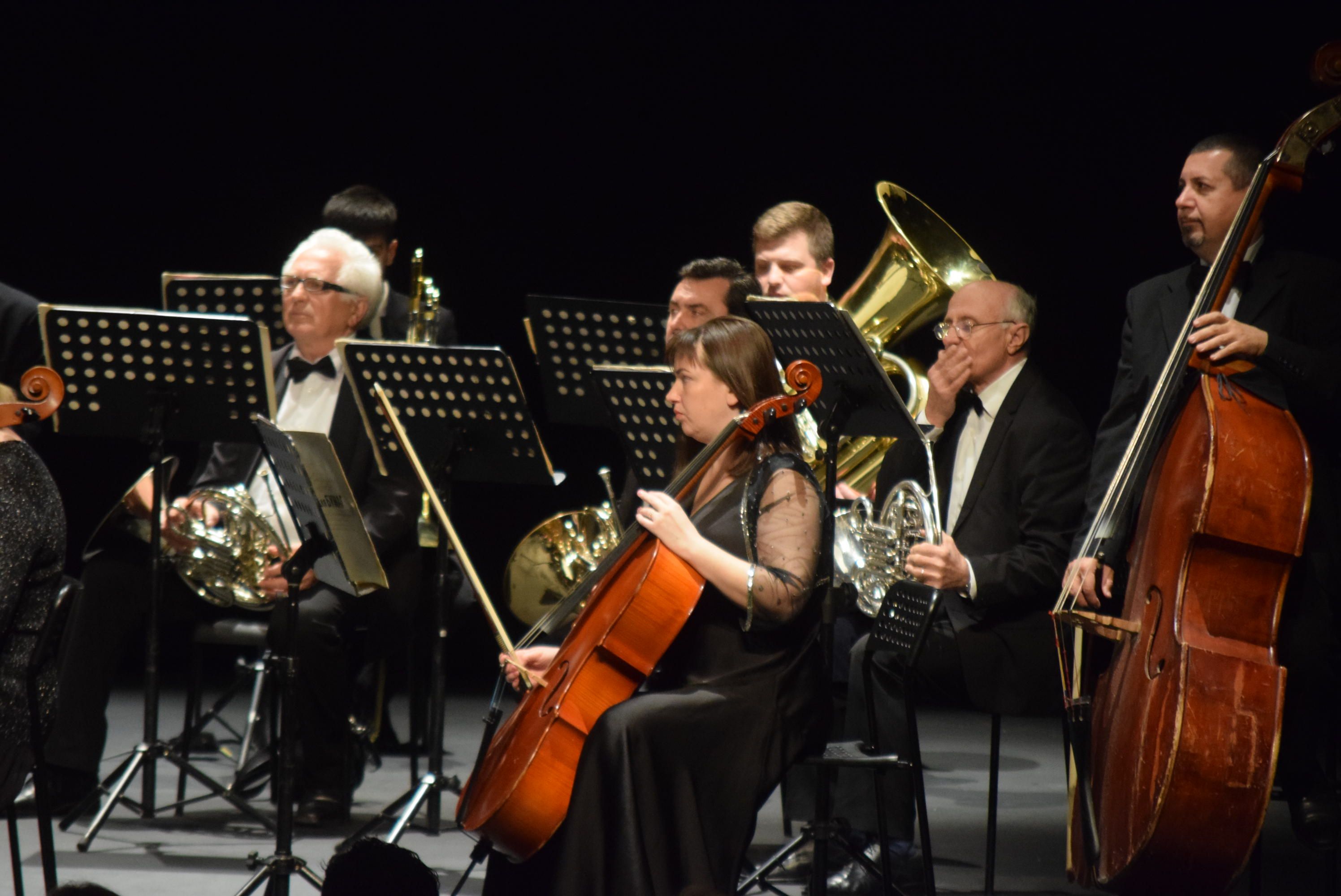 Concierto de Año Nuevo en el Teatro Ramos Carrión (8)