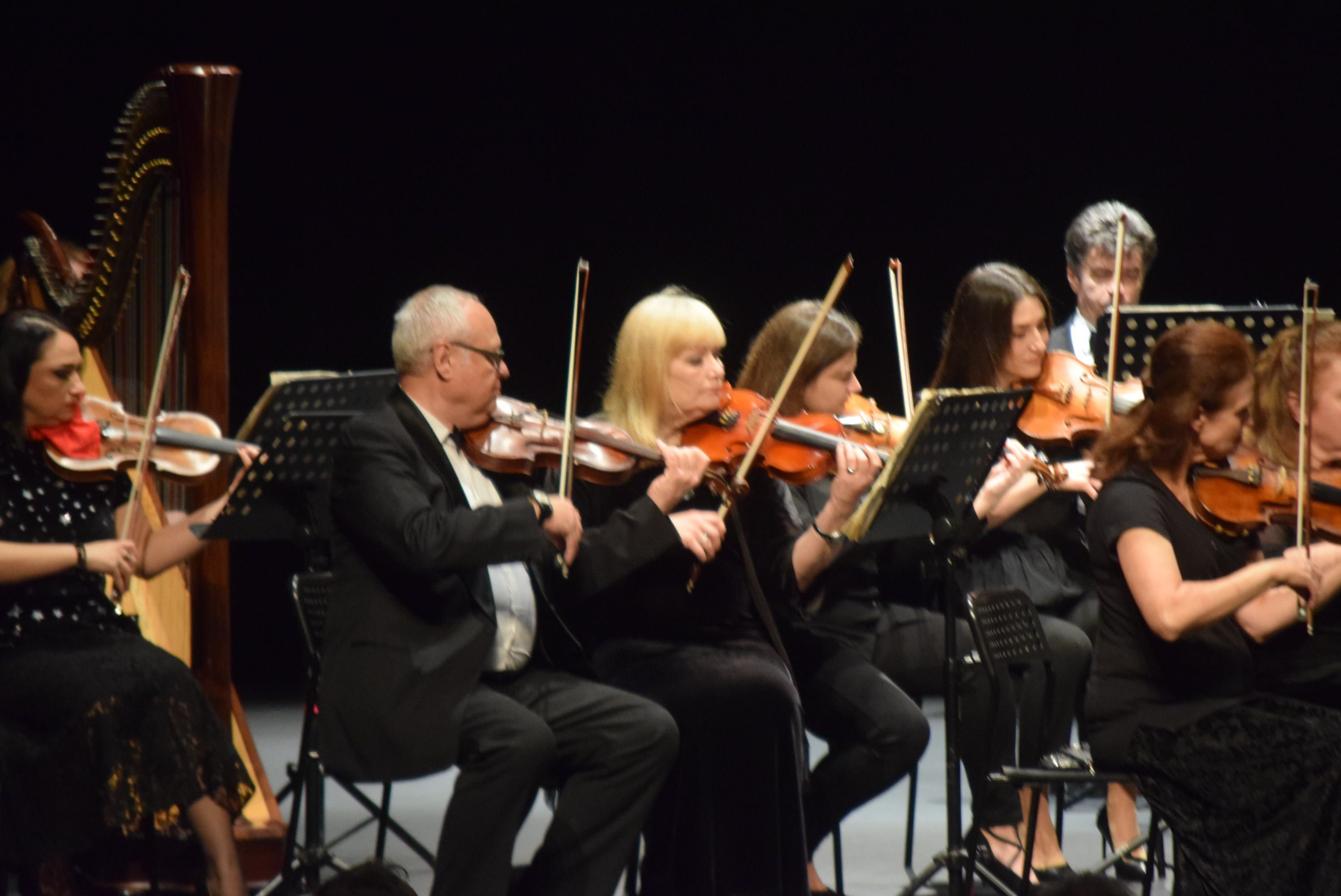 Concierto de Año Nuevo en el Teatro Ramos Carrión (9)