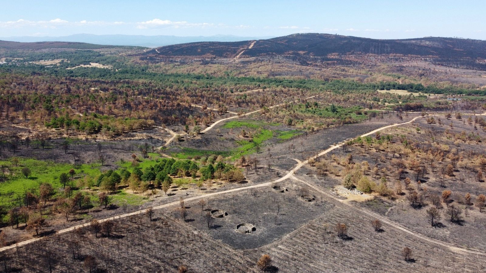 Vista de bosques brotados y quemados en la Sierra de la Culebra. Paisaje dañado por el fuego. Archivo.