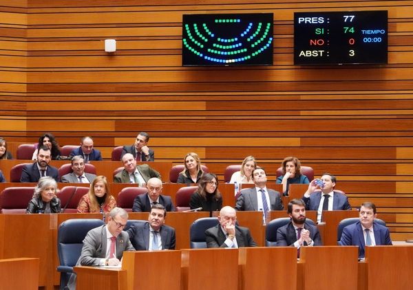 Sesión extraordinaria en las Cortes de Castilla y León