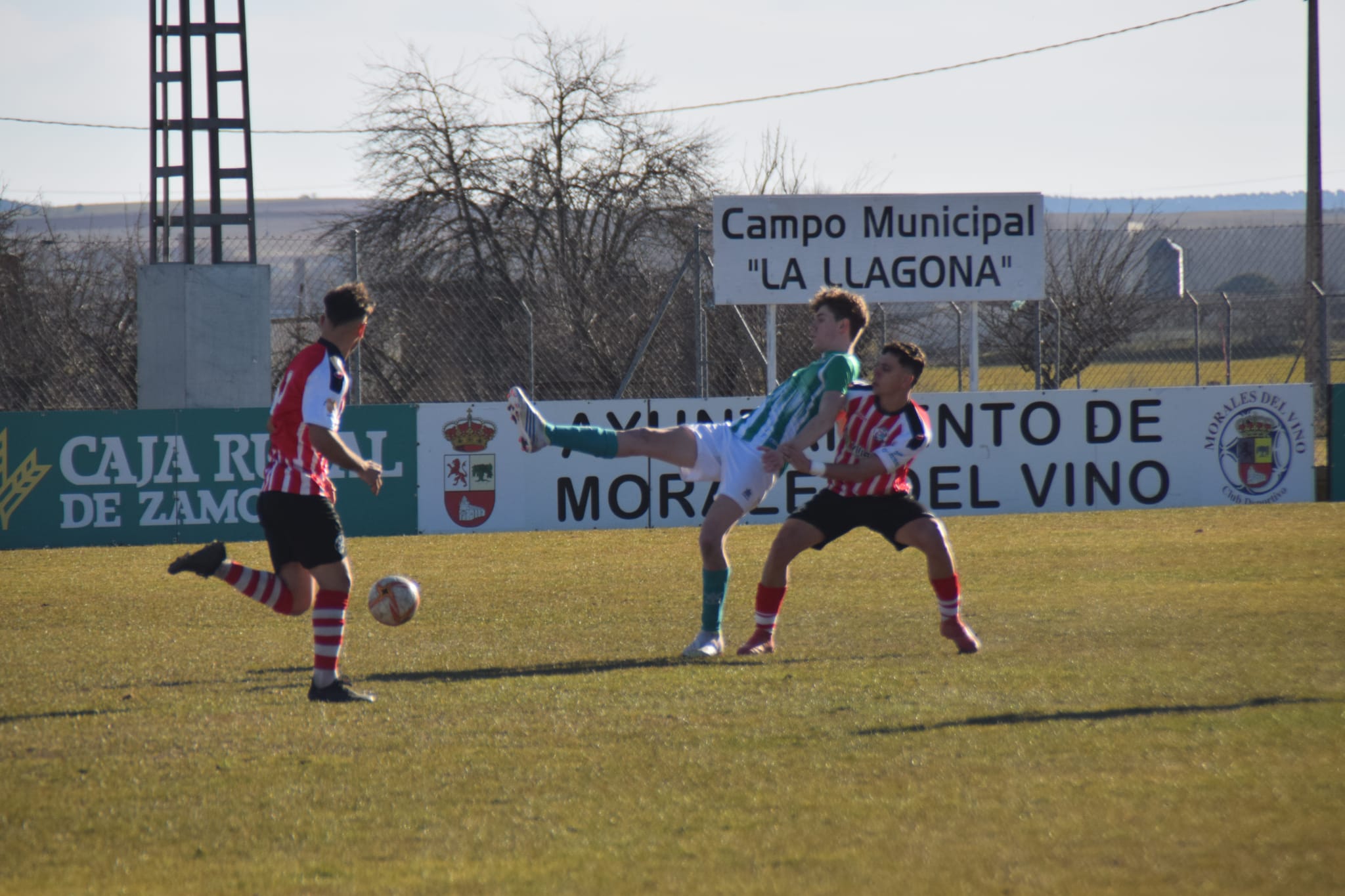 Zamora B  Betis de Valladolid (2)