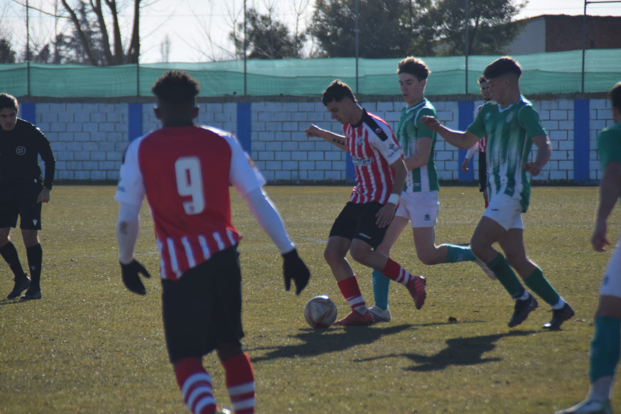 Zamora B  Betis de Valladolid (3)