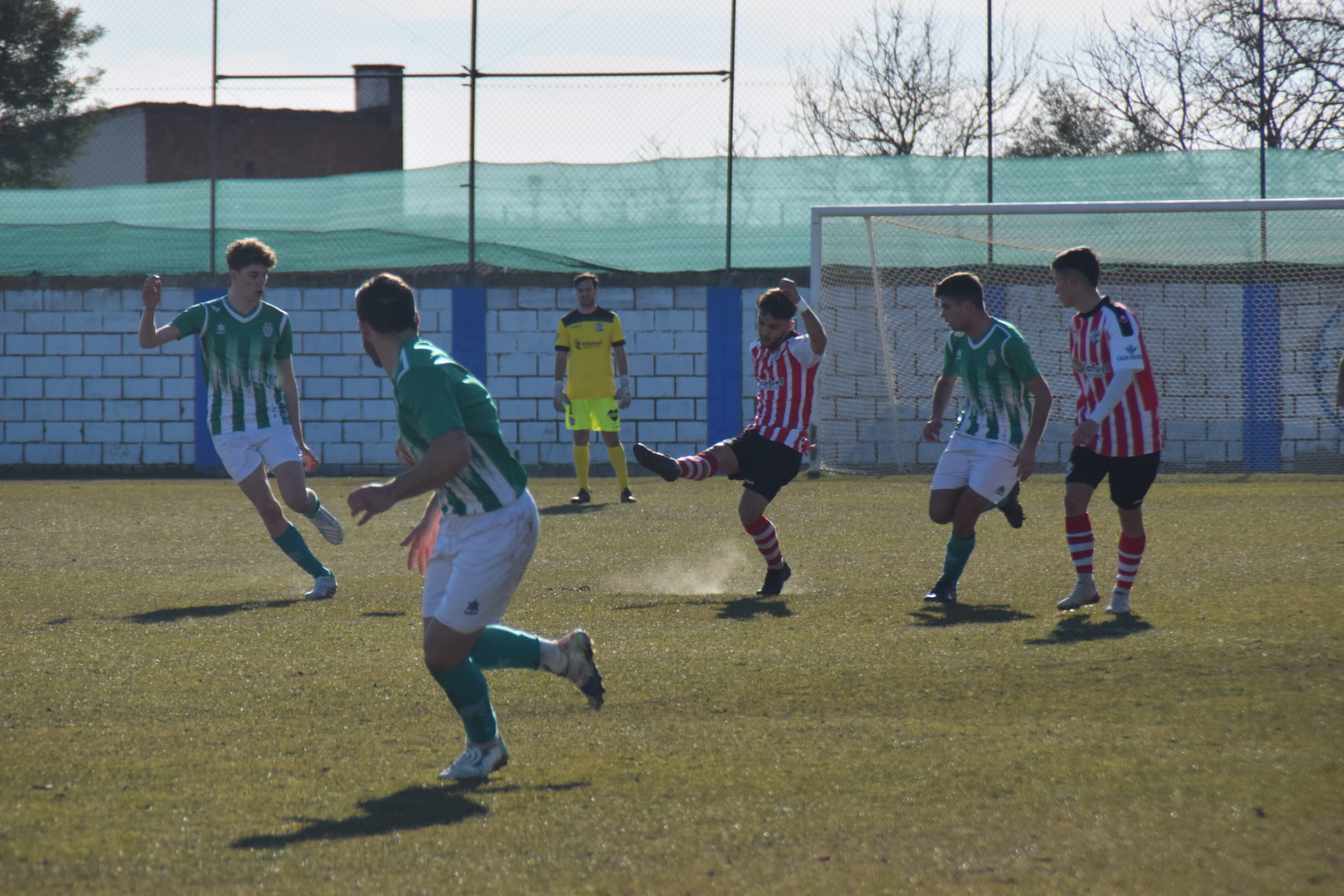 Zamora B  Betis de Valladolid (4)