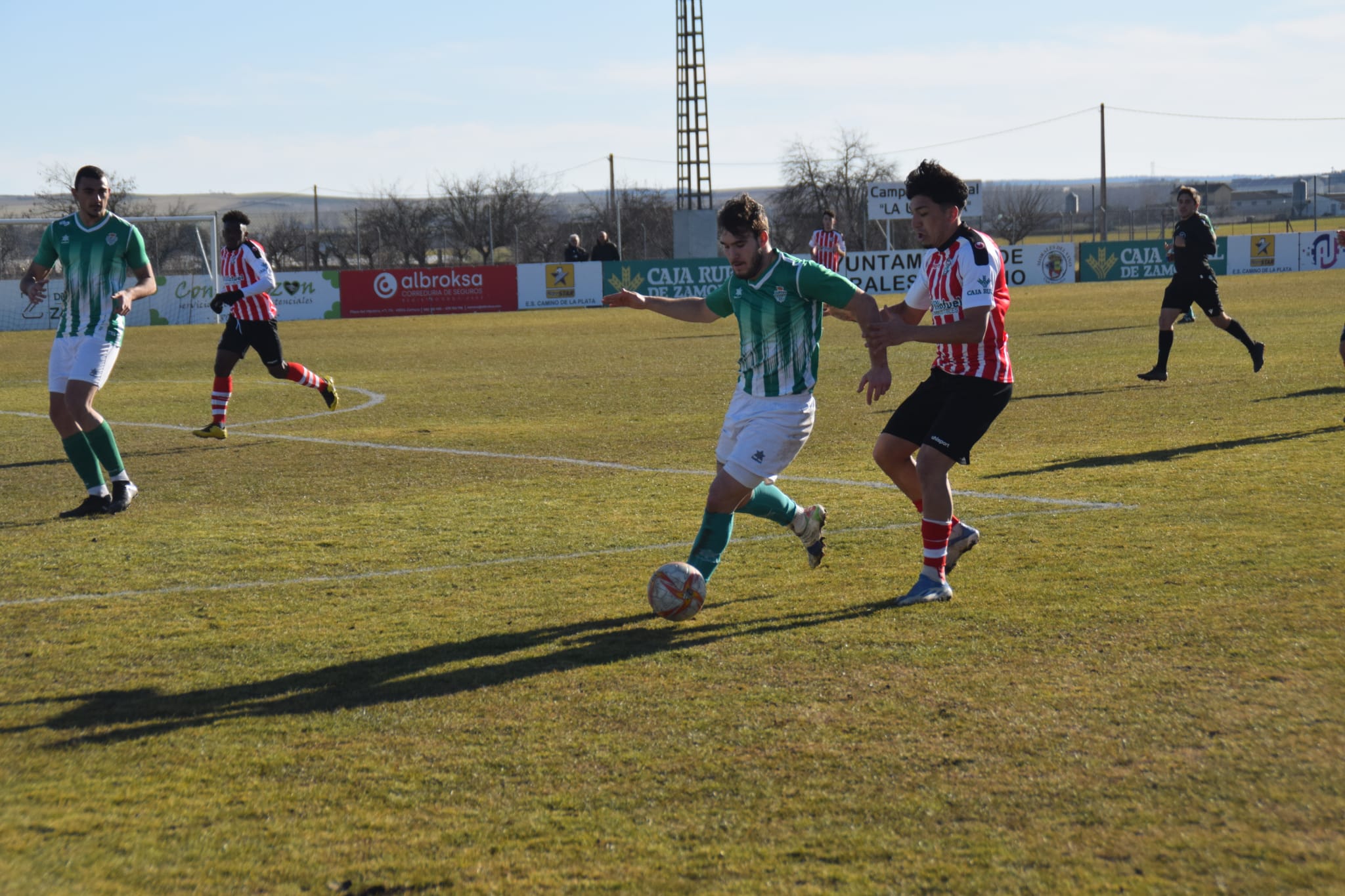 Zamora B  Betis de Valladolid (9)