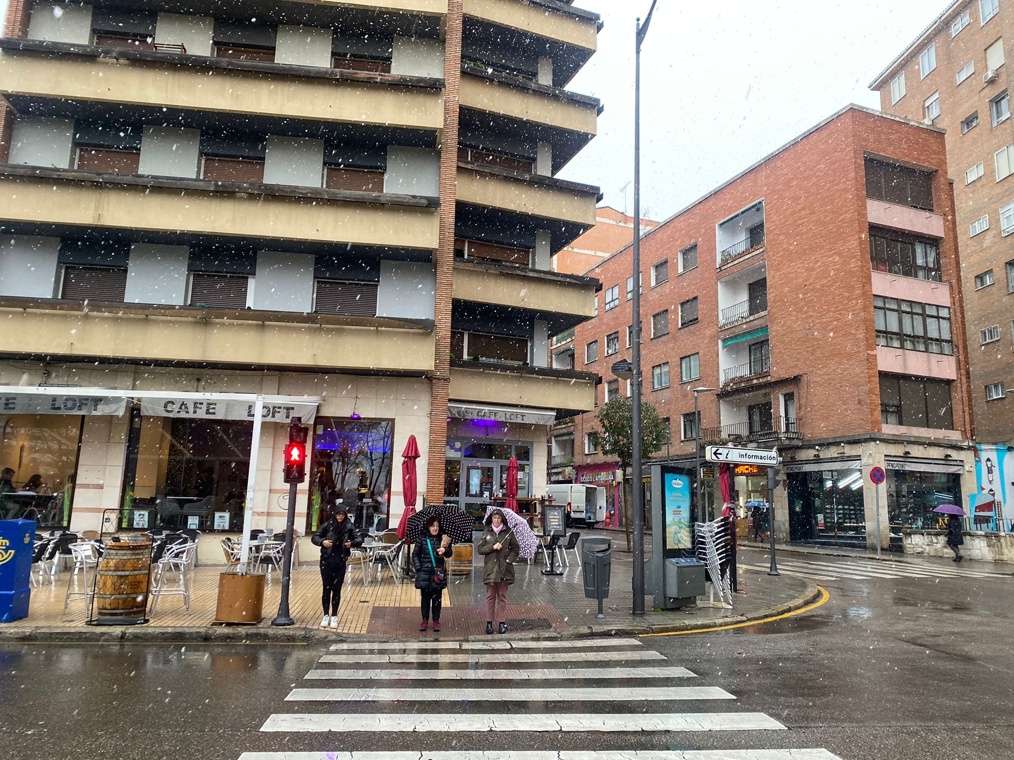 La nieve tiñe de blanco Zamora