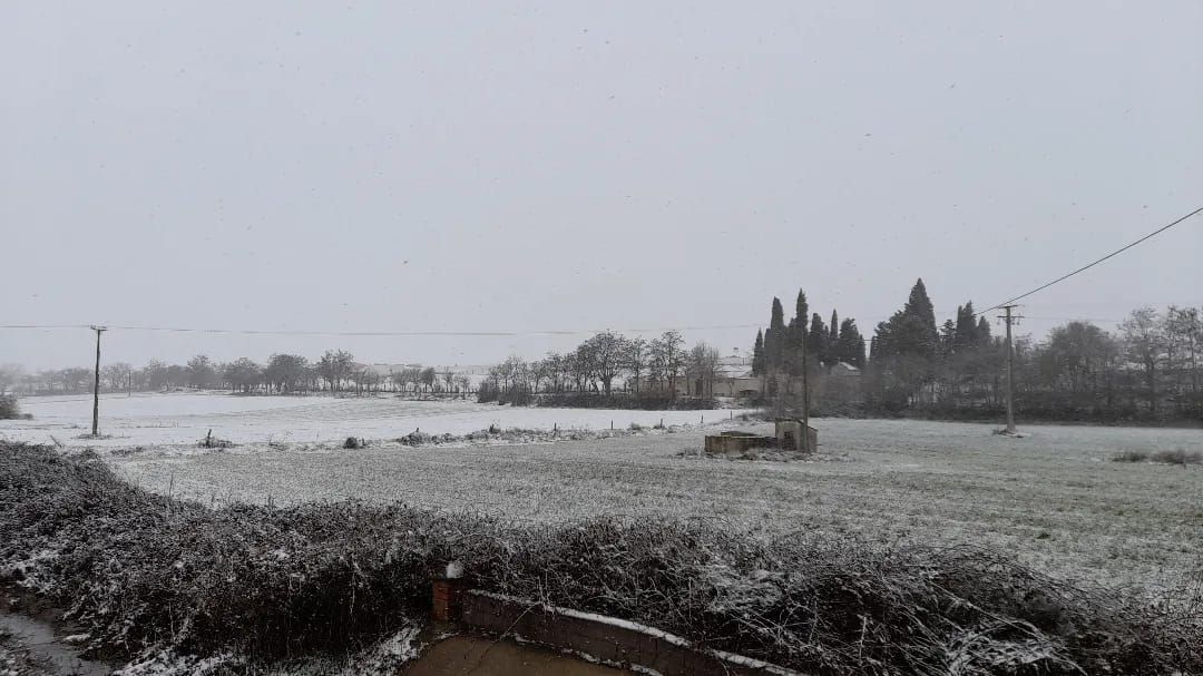 La nieve tiñe de blanco Zamora