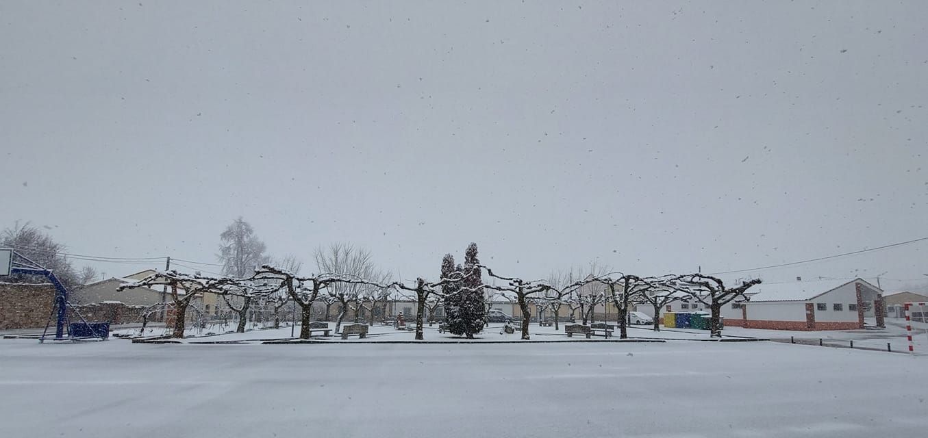 La nieve tiñe de blanco Zamora