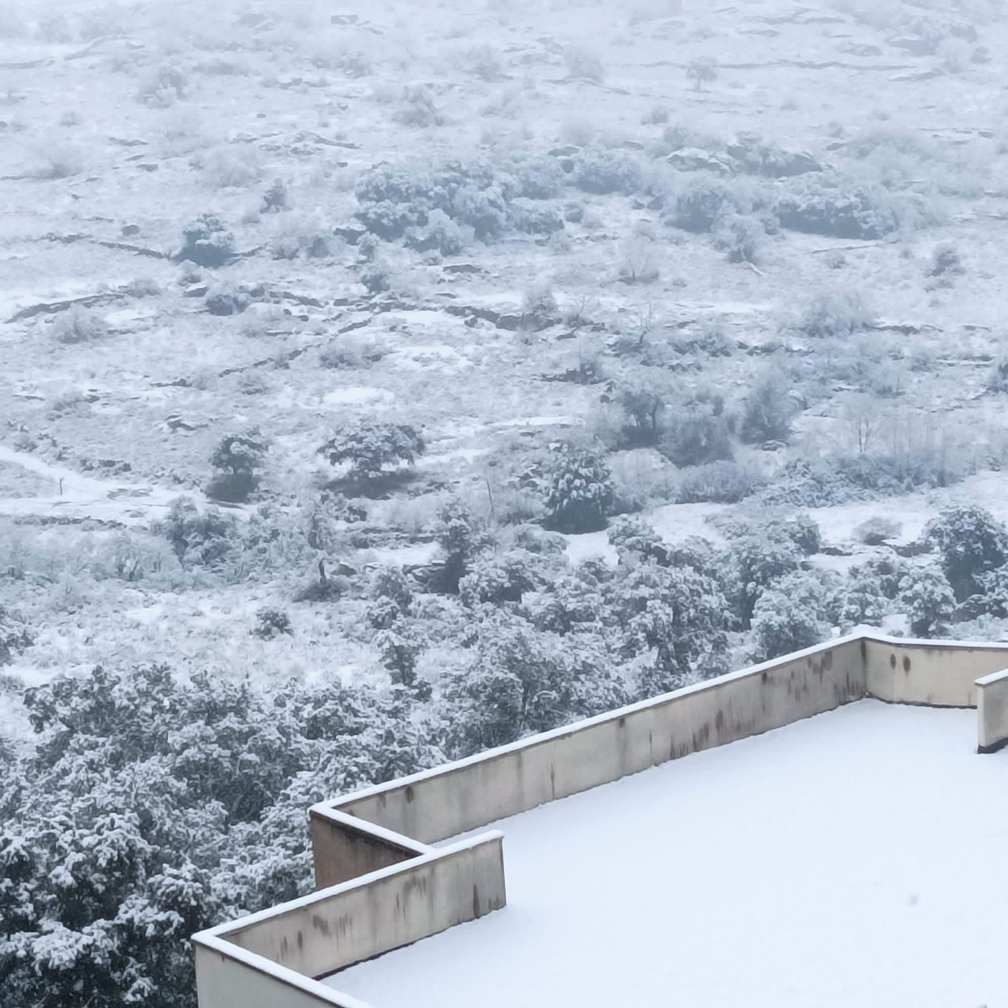 La nieve tiñe de blanco Zamora (2)