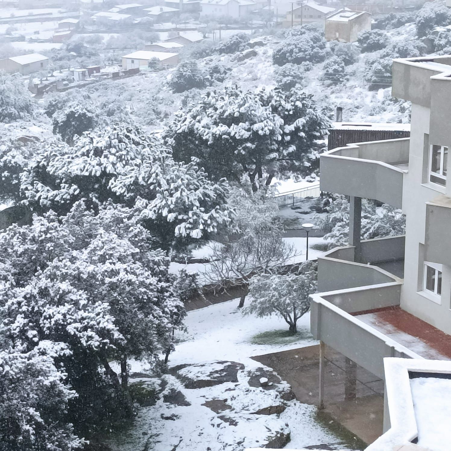 La nieve tiñe de blanco Zamora (3)