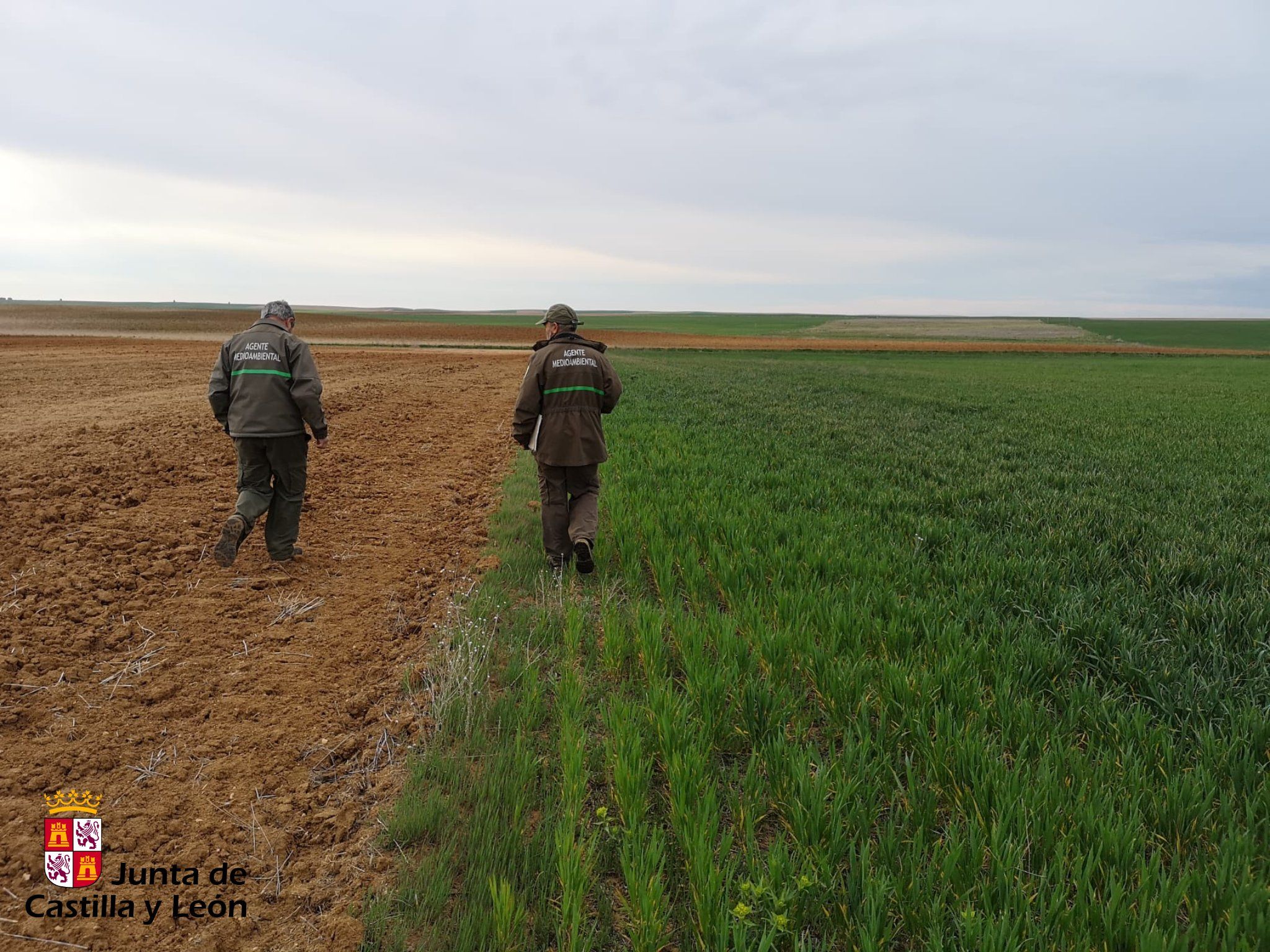 Agentes Medioambientales en la Reserva de Villafáfila