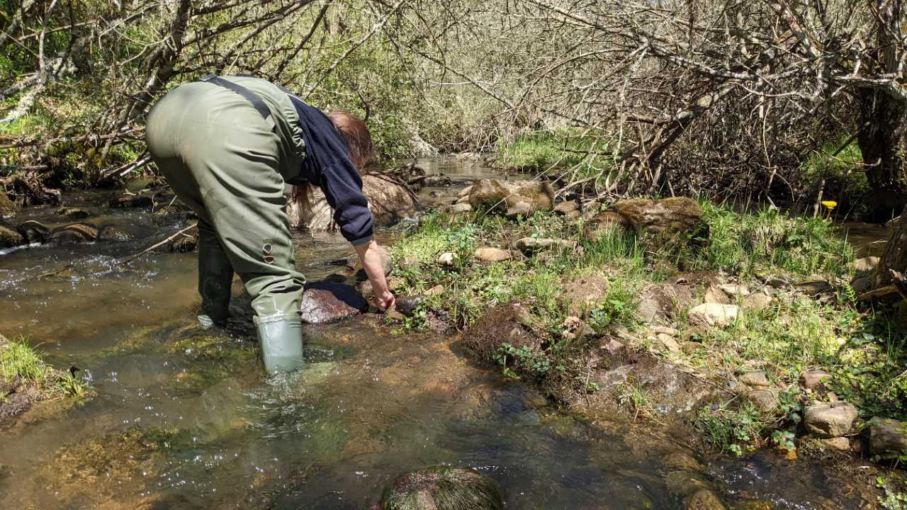 Muestreos biológicos en la cuenca del Duero. Archivo.