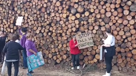 Los vecinos protestan ante la tala de pinos verdes