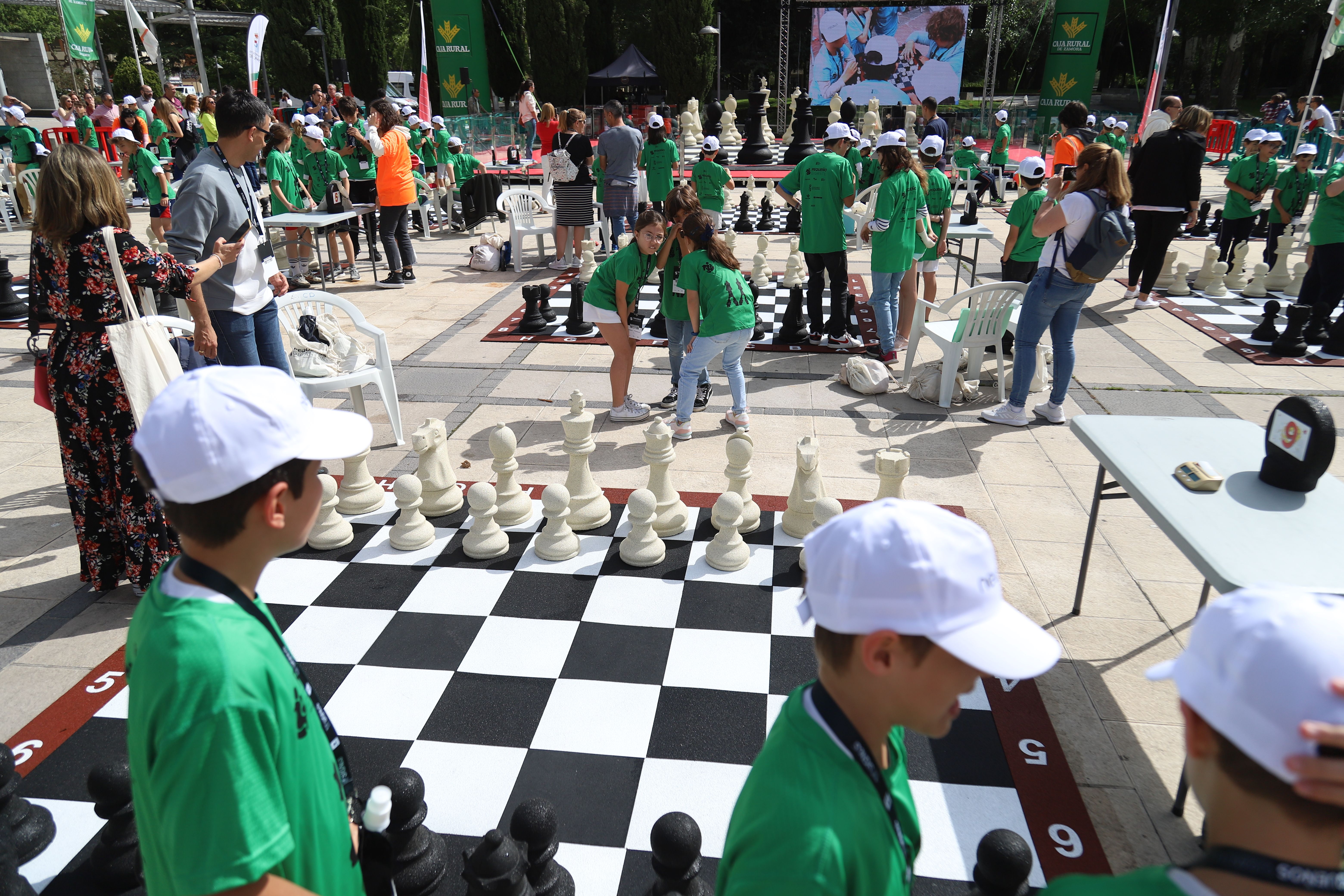 Torneo 'Pequeños Gigantes' en Zamora