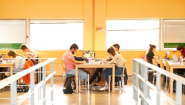 Estudiantes de la USAL en la biblioteca