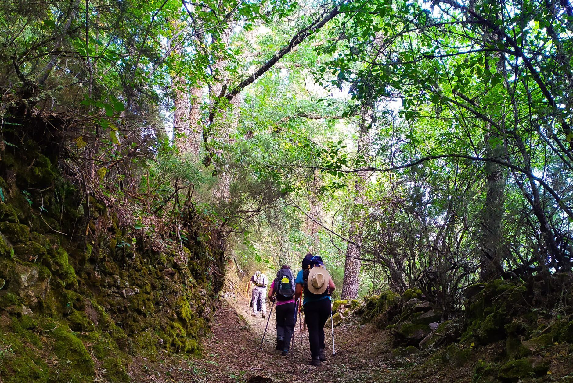 Peregrinos realizando el Camino de Santiago. Archivo.