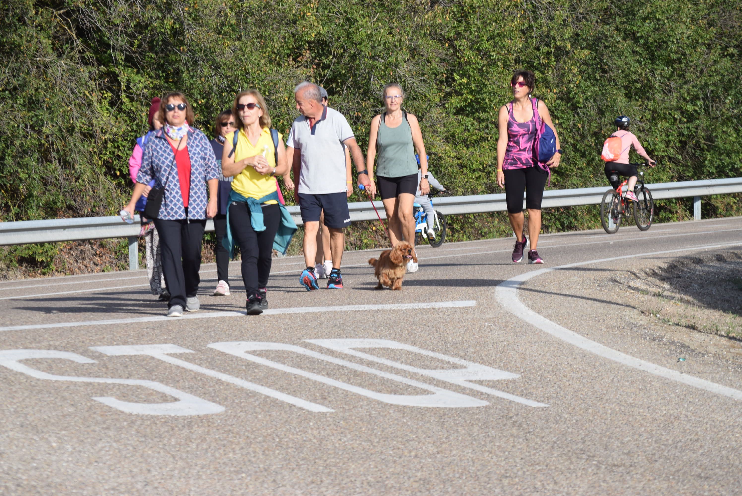 Marcha Asprosub