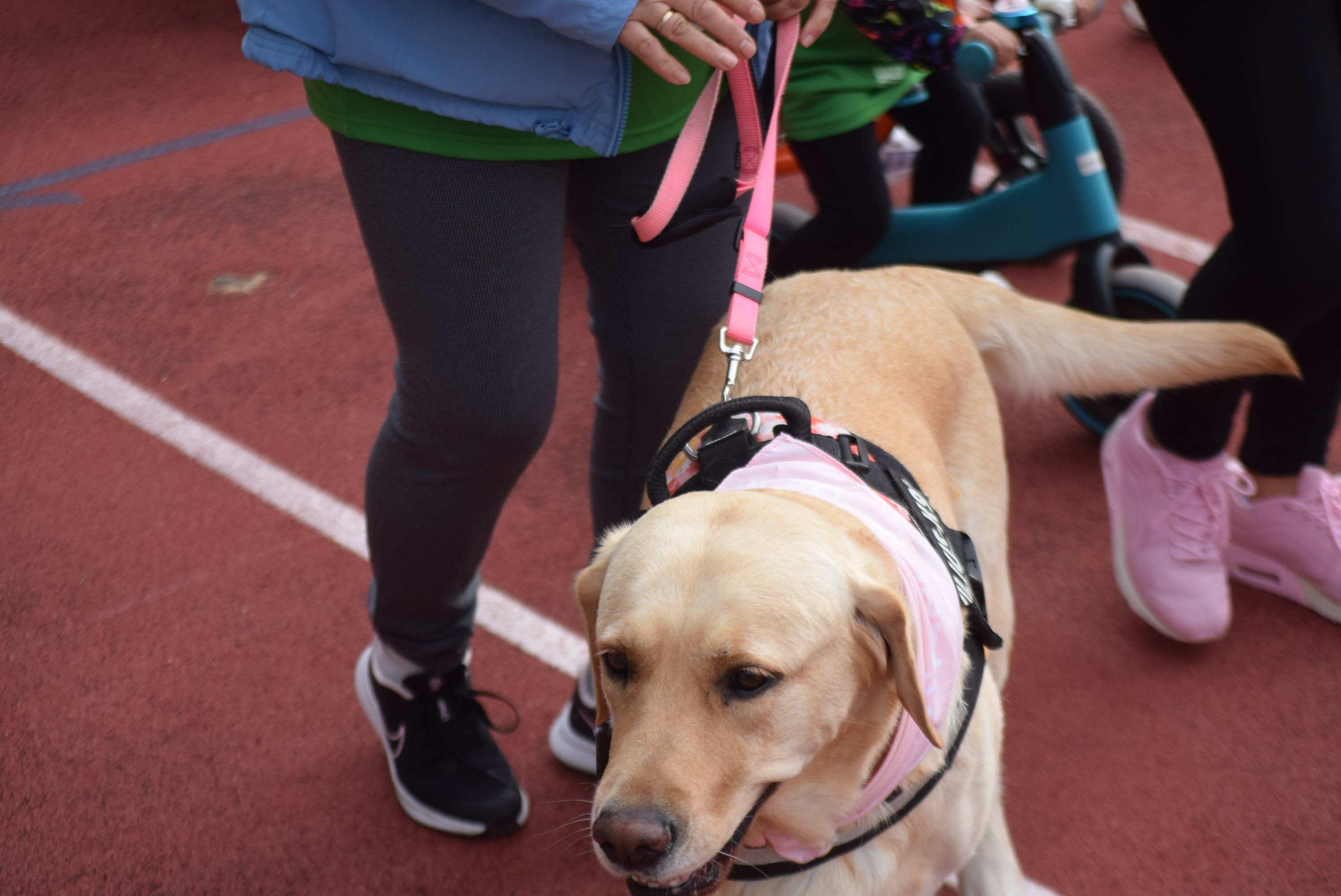 XV Carrera Popular 'Mucho X Vivir'