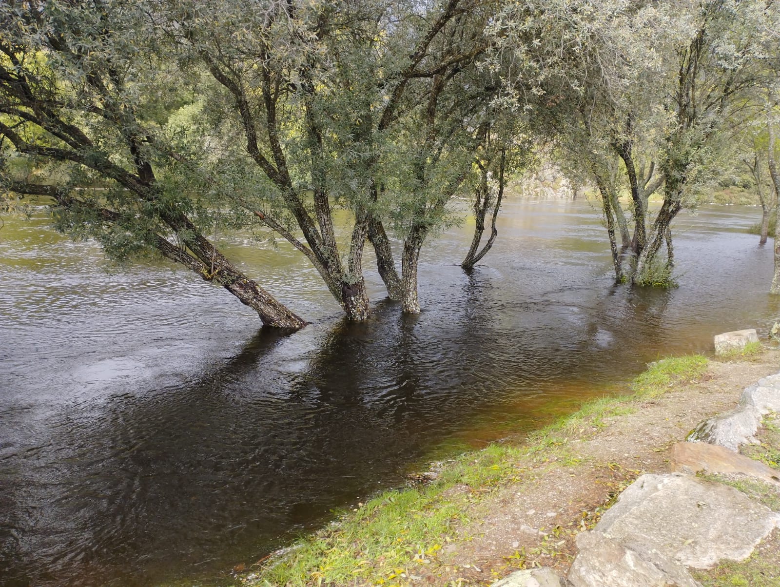 Las imágenes que dejan las últimas lluvias en Sanabria (3)