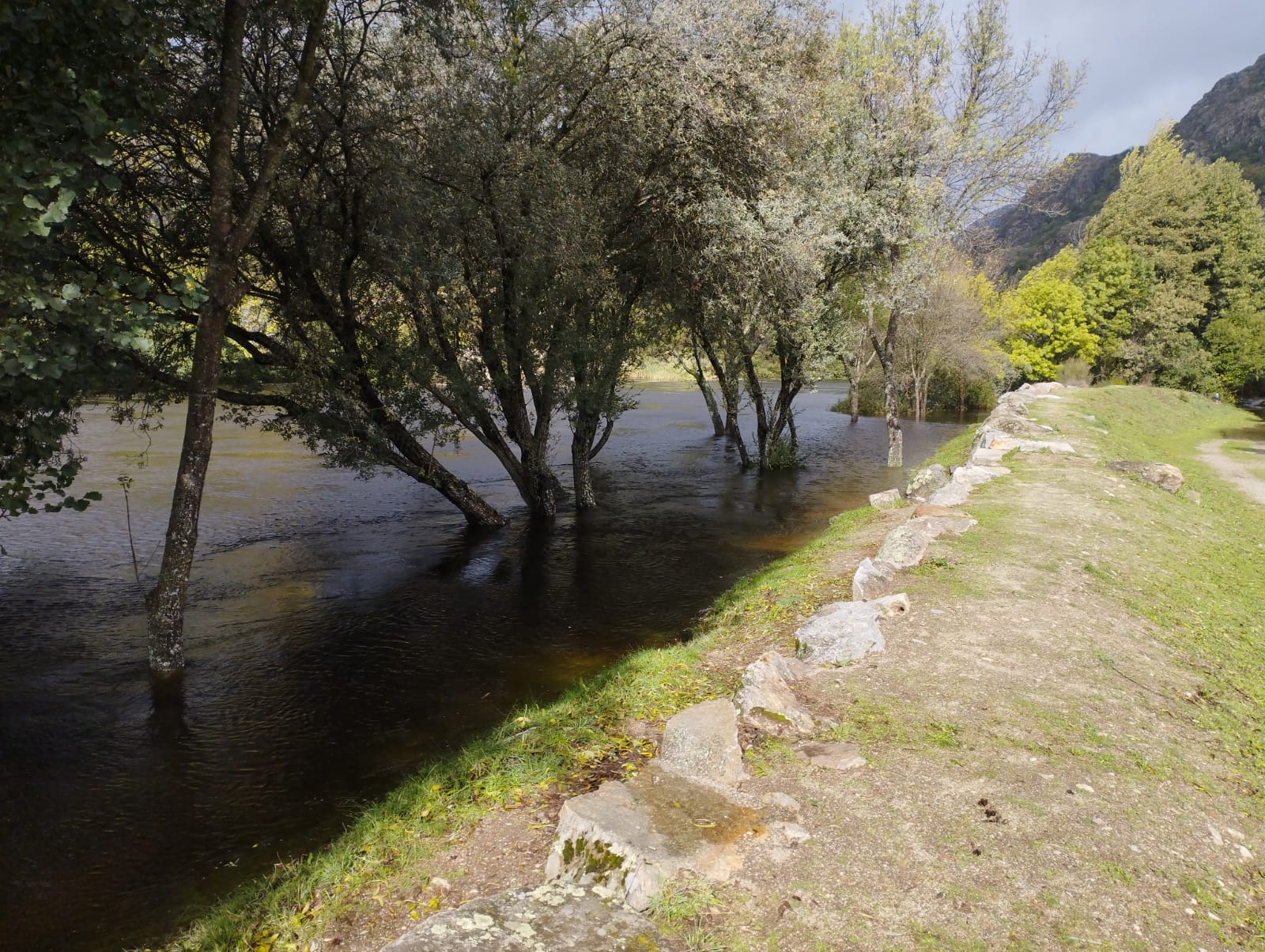 Las imágenes que dejan las últimas lluvias en Sanabria (4)