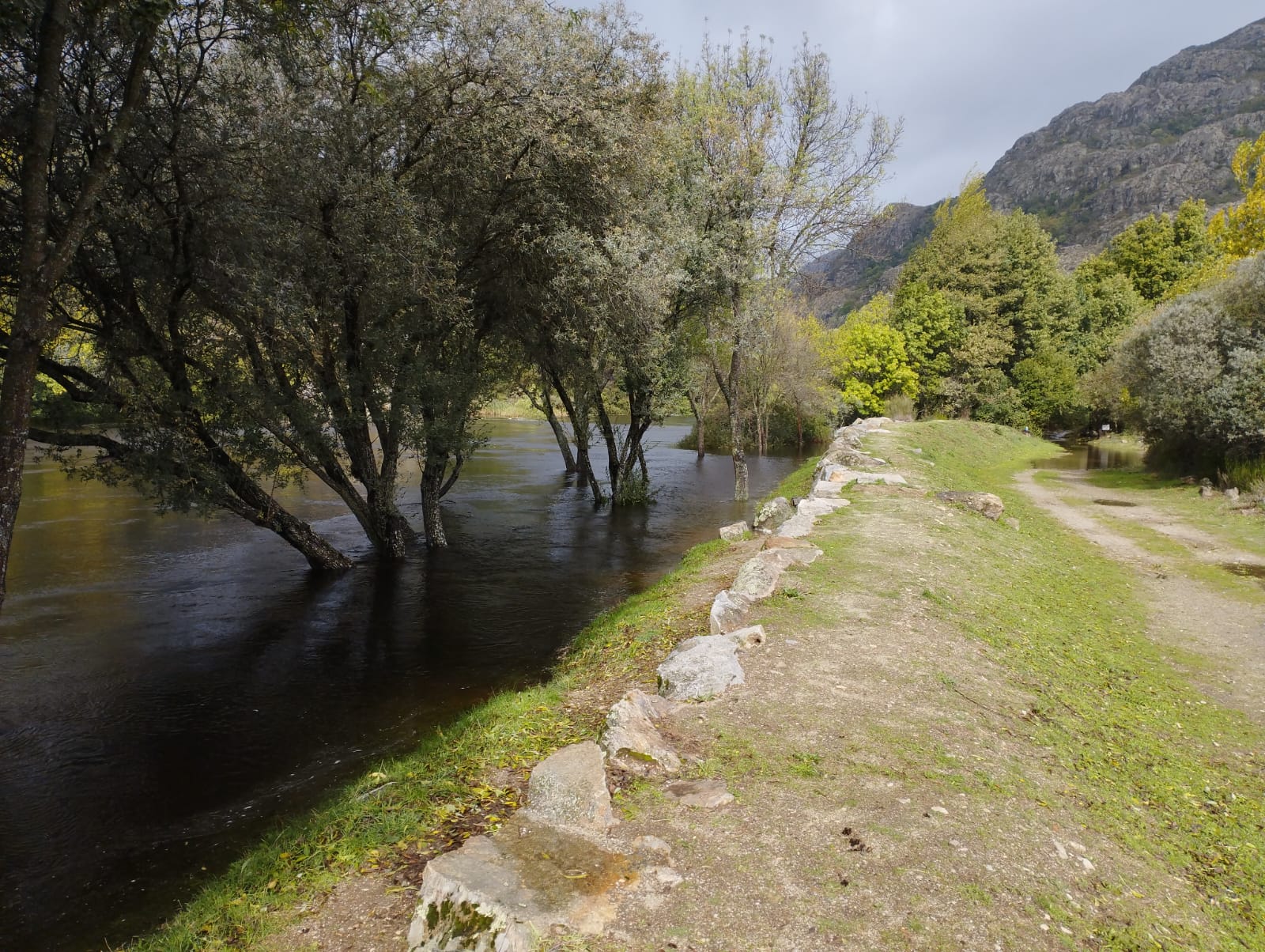 Las imágenes que dejan las últimas lluvias en Sanabria (5)