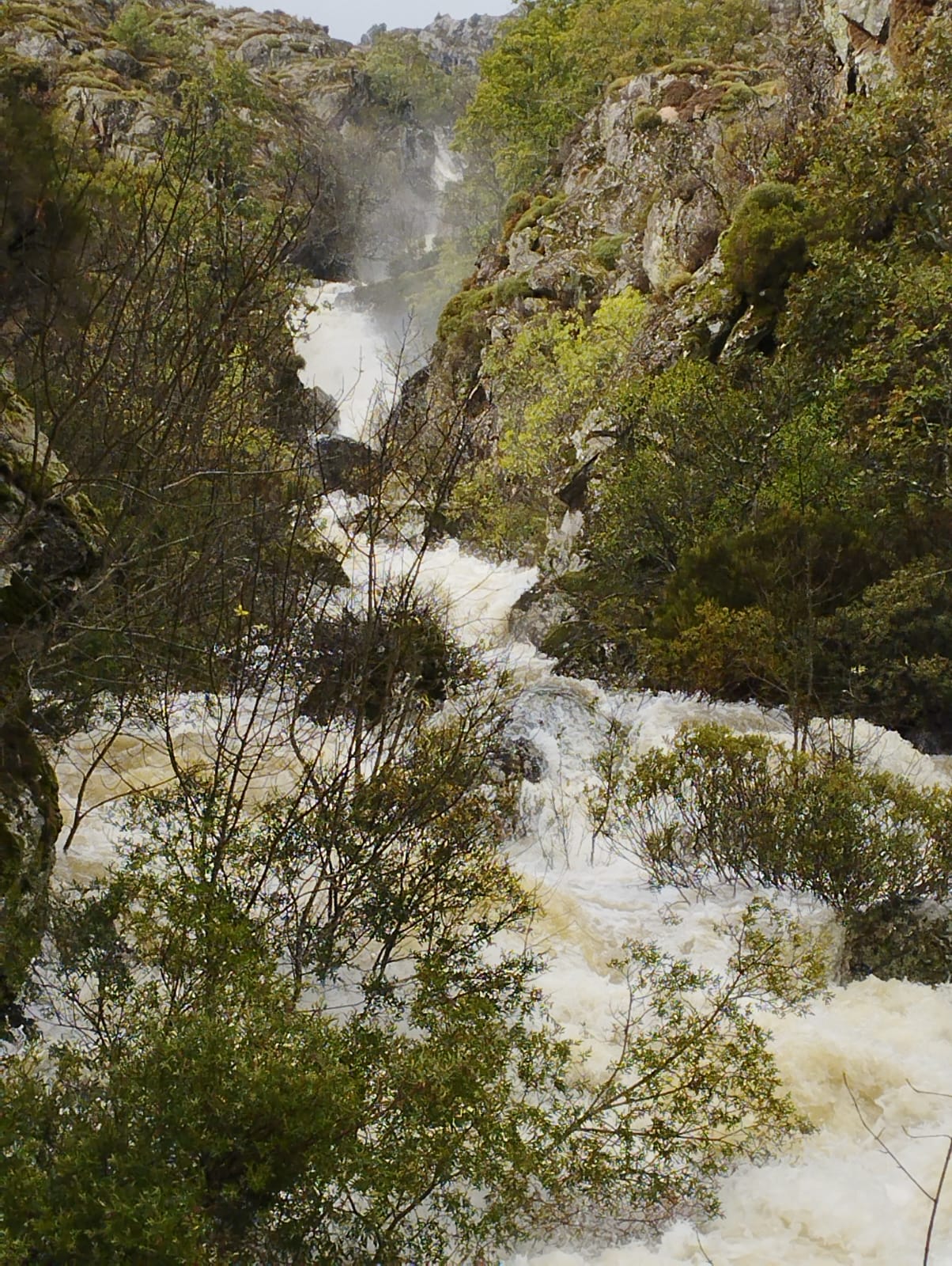 Las imágenes que dejan las últimas lluvias en Sanabria (7)