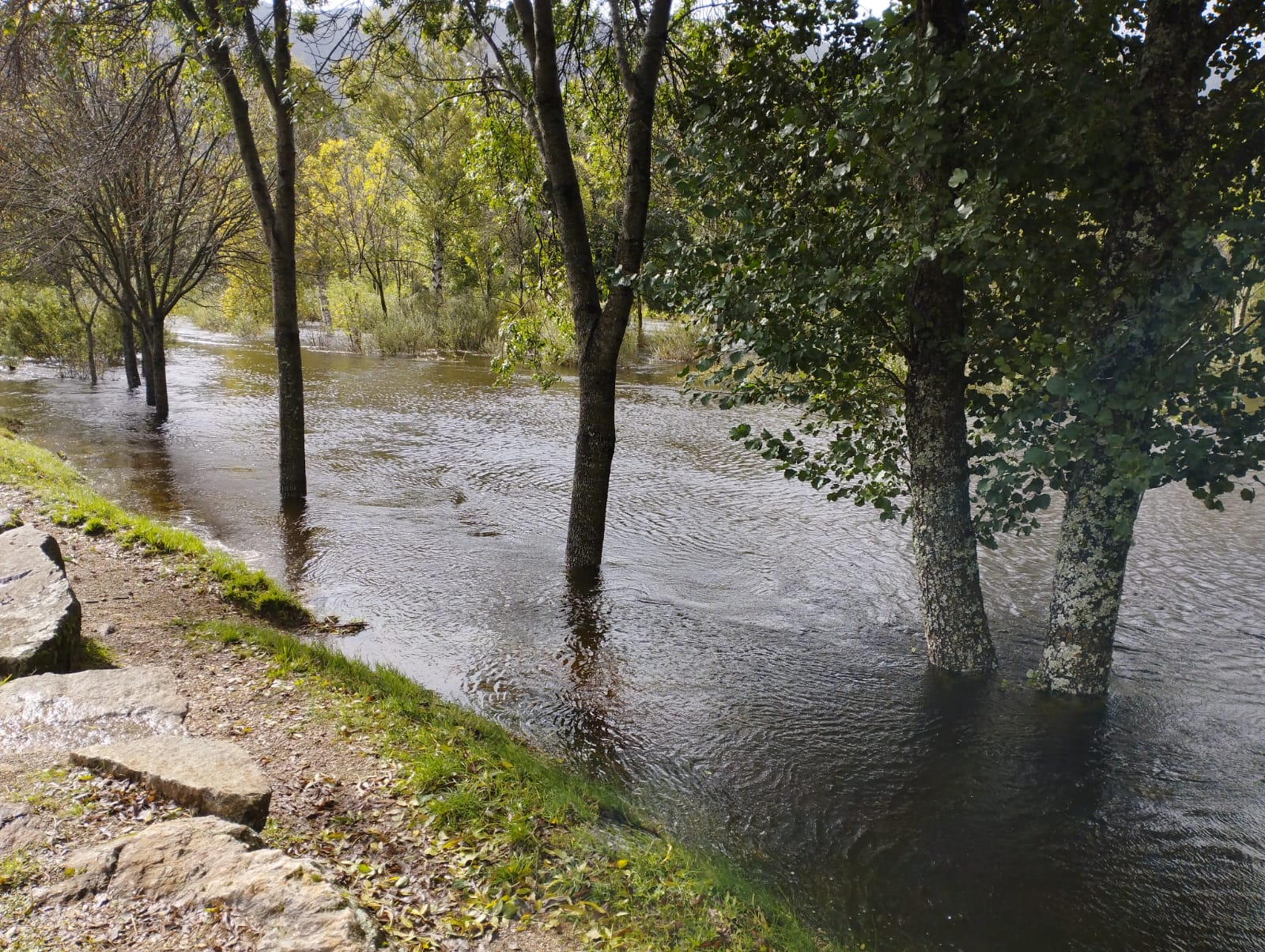 Las imágenes que dejan las últimas lluvias en Sanabria (8)