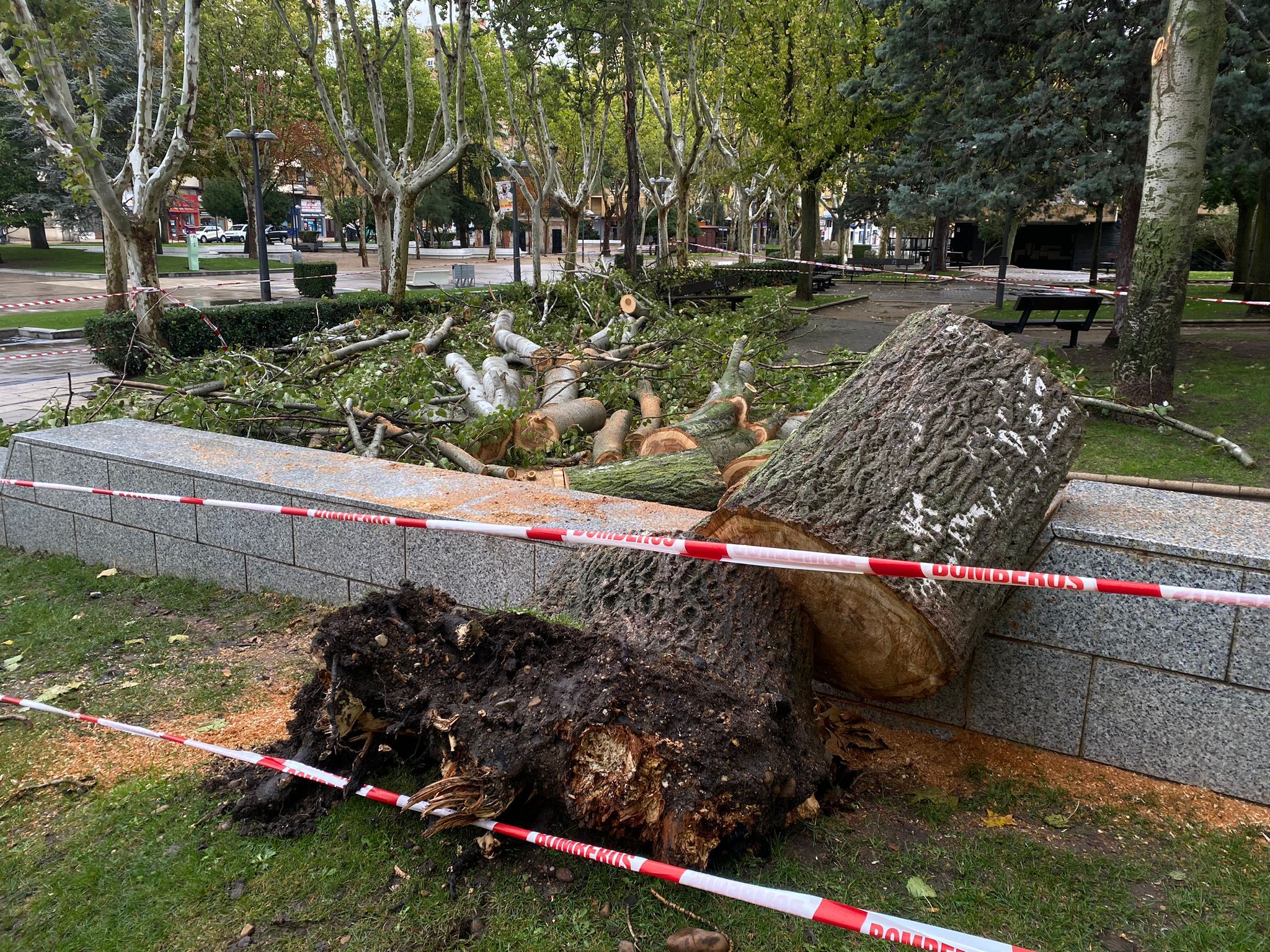 Imagen de la intervención de los bomberos realizada en la plaza de la Marina