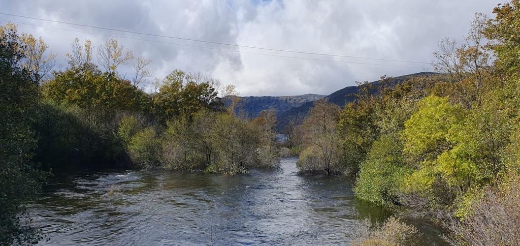 Crecida en el río Tera