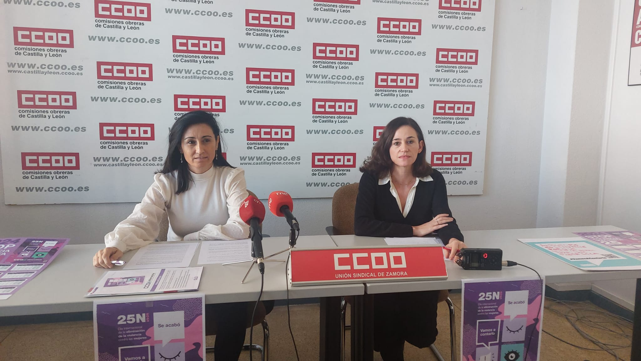 CCOO se suma a las celebraciones del Día Internacional de la Eliminación de la Violencia contra las Mujeres