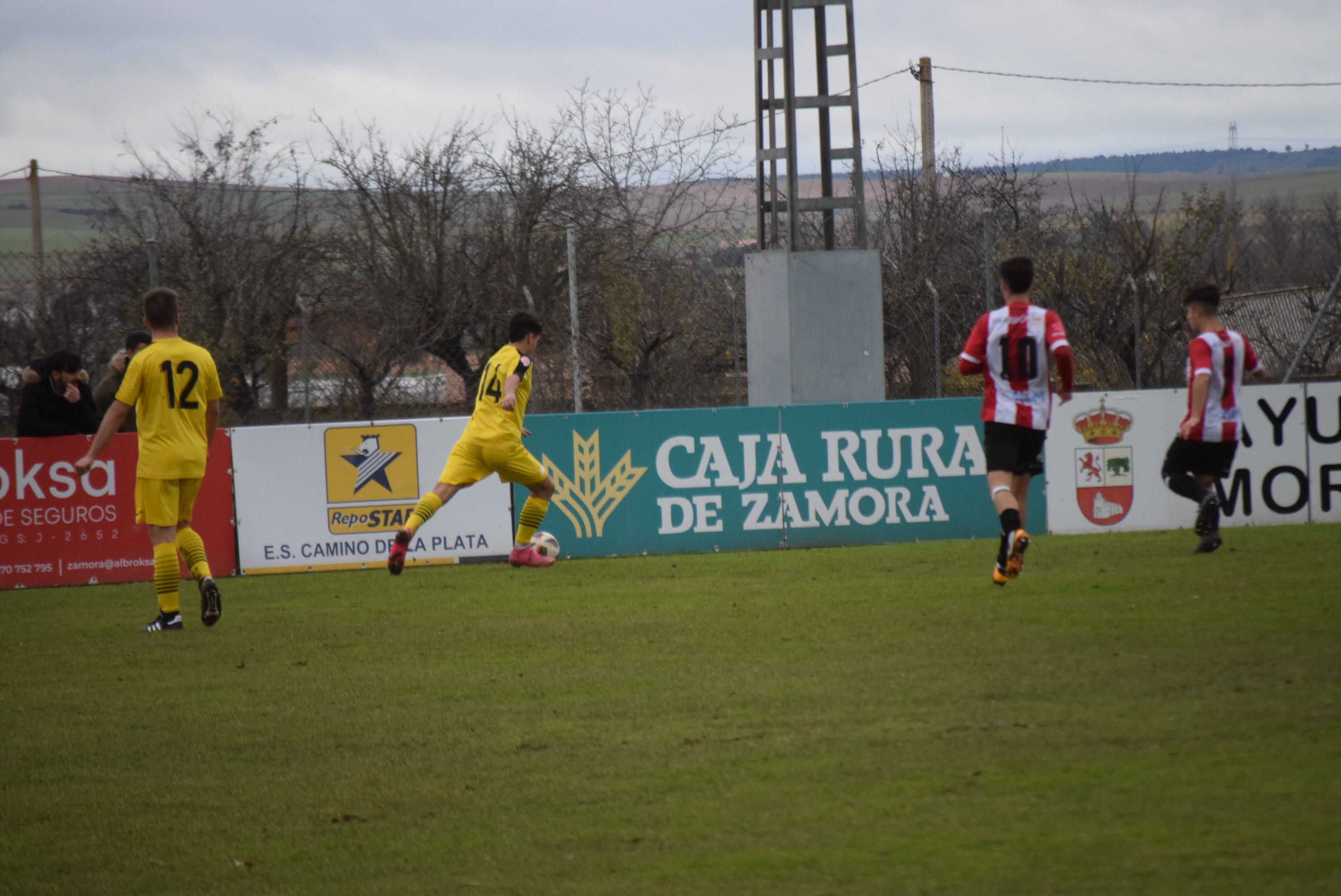 Zamora CF 'B' - La Cistérniga 