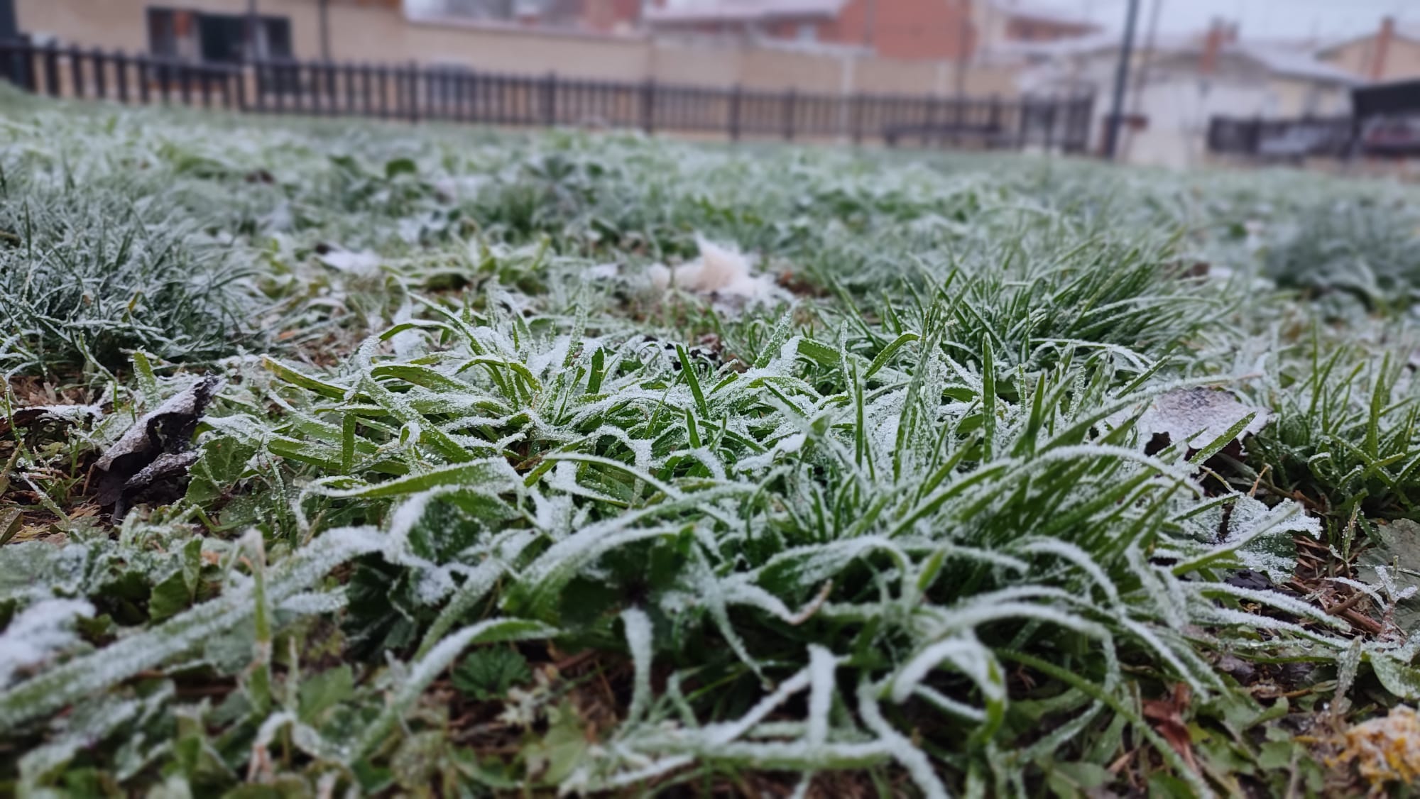 Niebla engelante en Zamora. Helada estampa navideña.