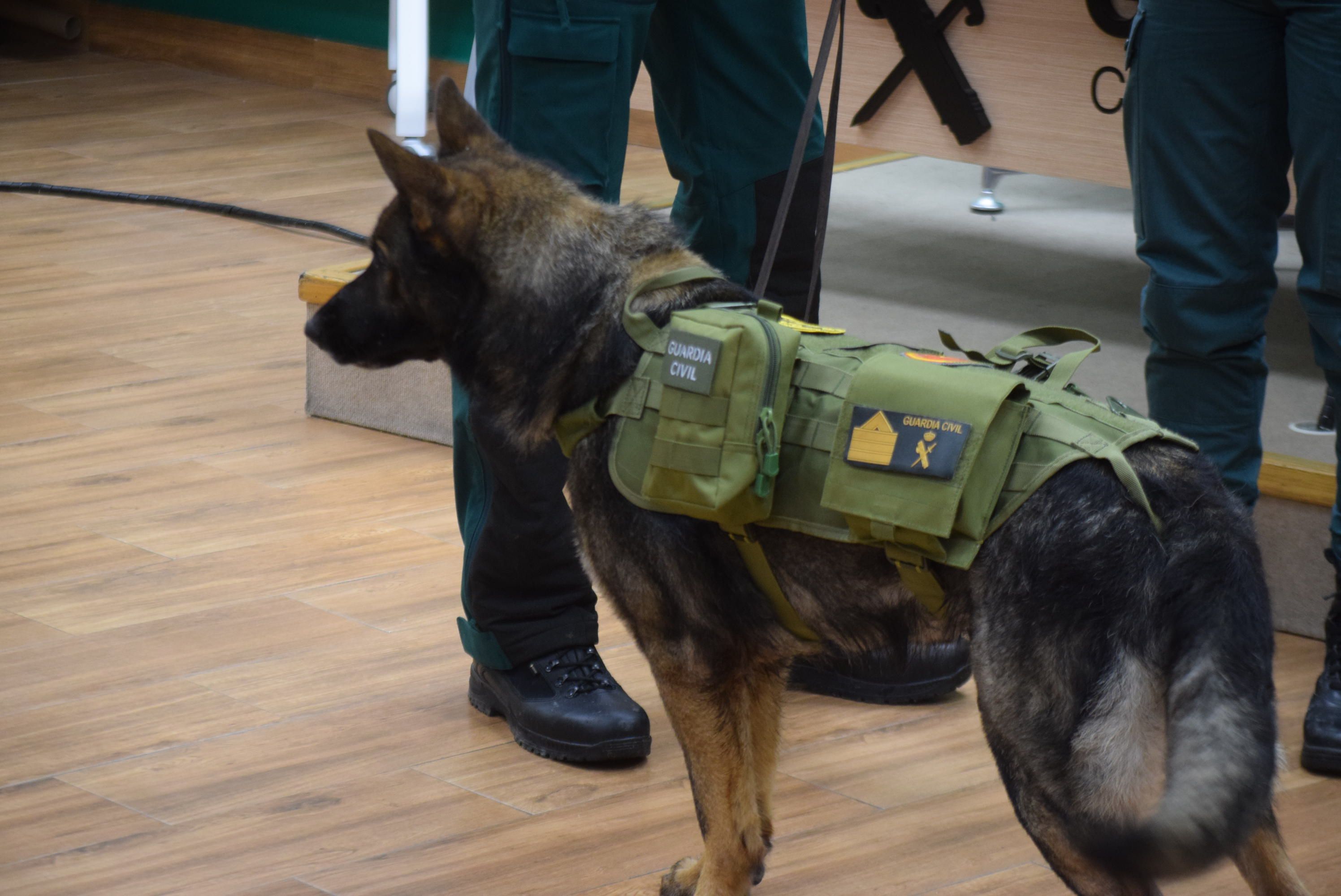 Acto Guardia Civil Día de San Antón (5)