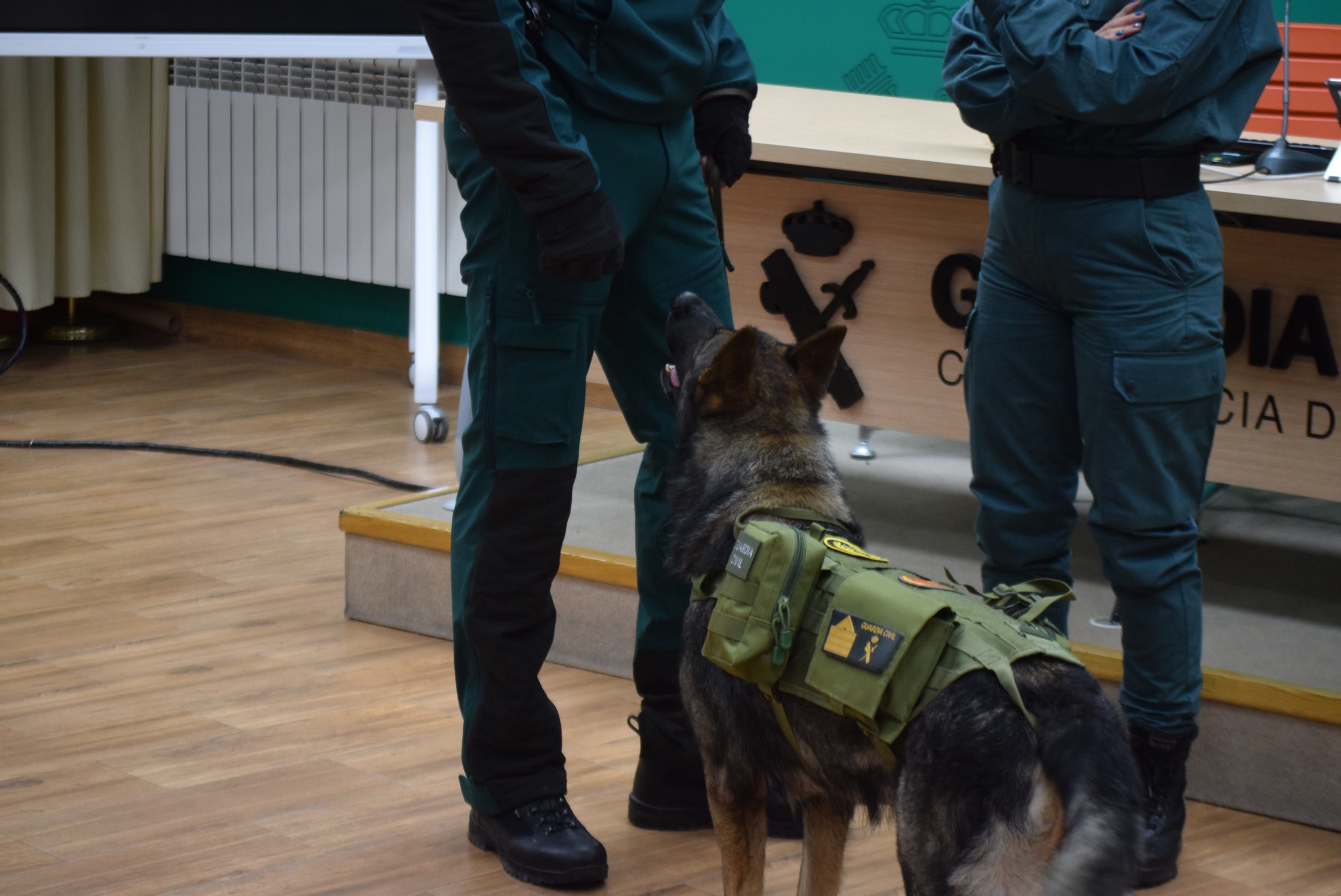 Acto Guardia Civil Día de San Antón (7)