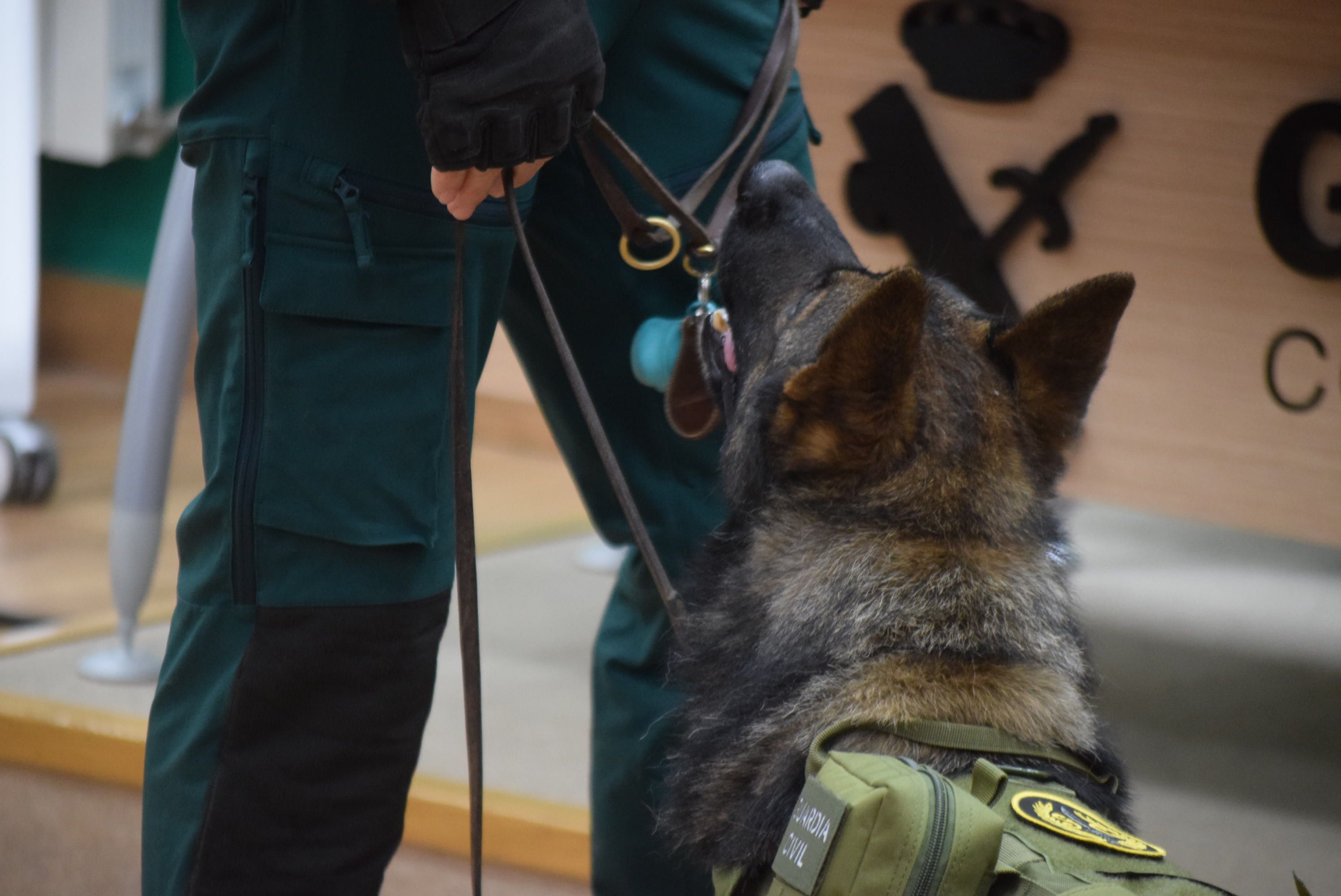 Acto Guardia Civil Día de San Antón (8)