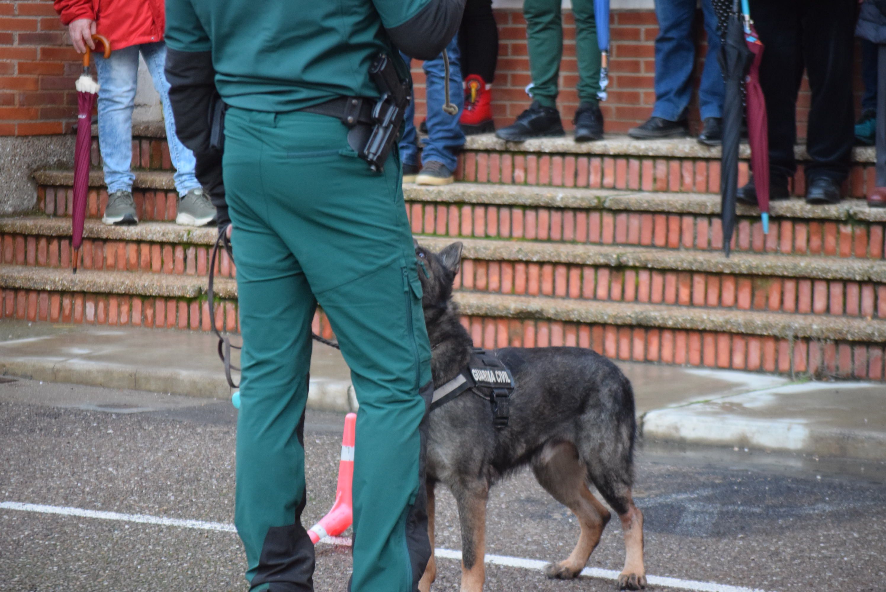 Acto Guardia Civil Día de San Antón (9)